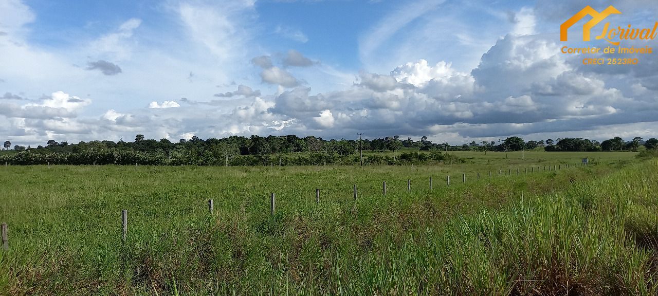 Fazenda-Sítio-Chácara, 242 hectares - Foto 1