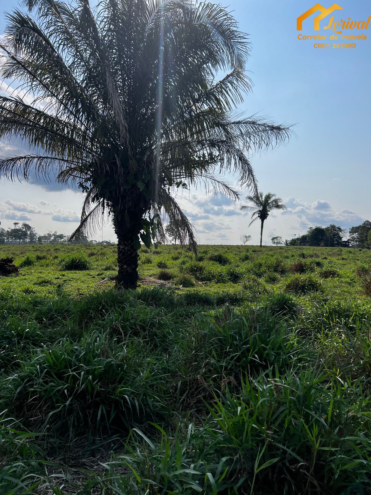 Fazenda à venda, 45800000000m² - Foto 18