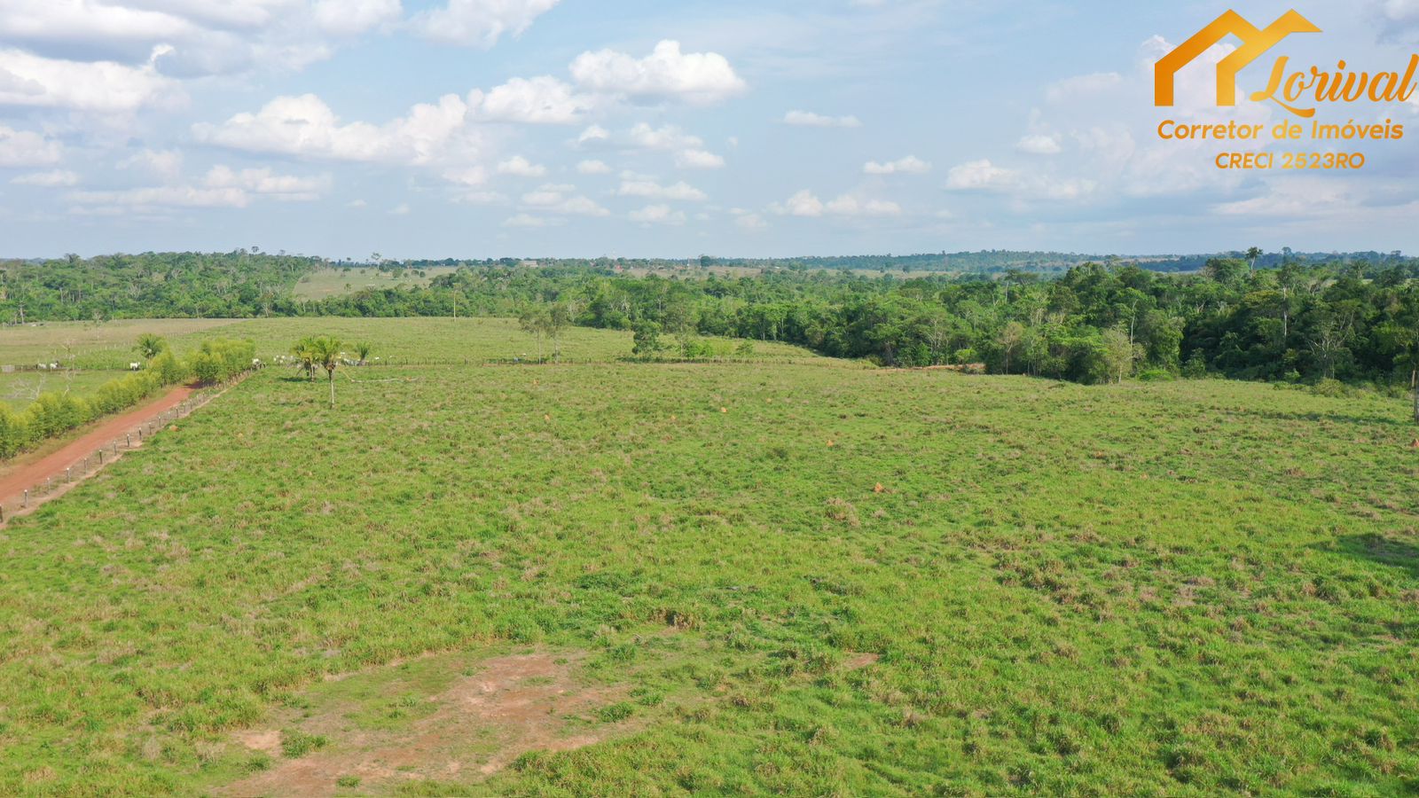 Fazenda-Sítio-Chácara, 458 hectares - Foto 4