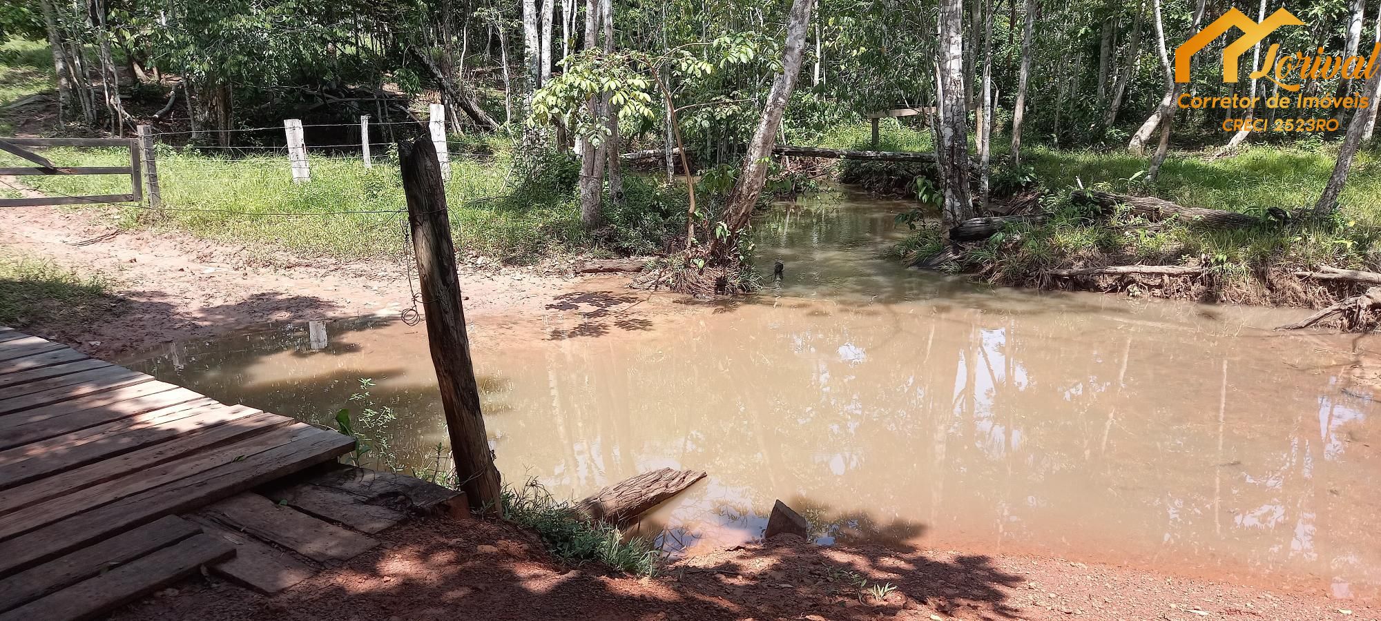 Sítio, 3 quartos, 242000 hectares - Foto 29