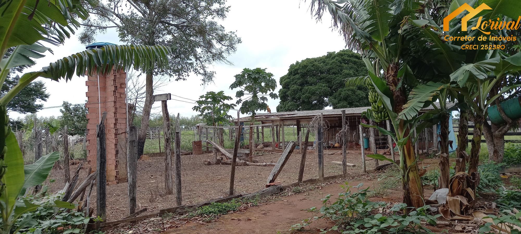 Fazenda à venda com 2 quartos, 157300m² - Foto 19