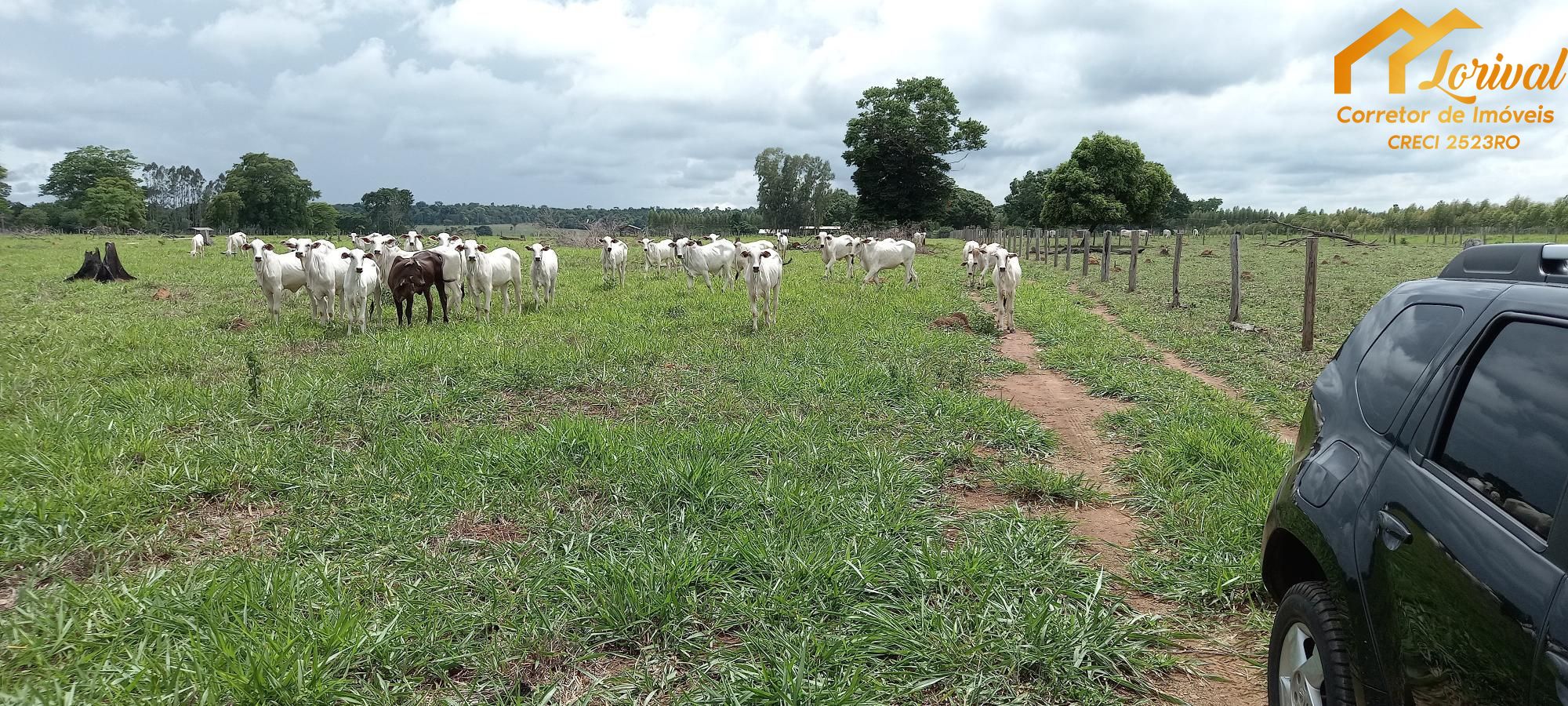 Fazenda à venda com 2 quartos, 157300m² - Foto 31