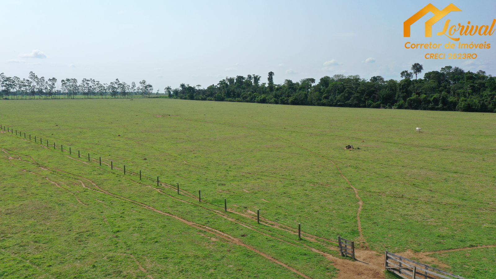 Fazenda à venda, 2040000m² - Foto 7