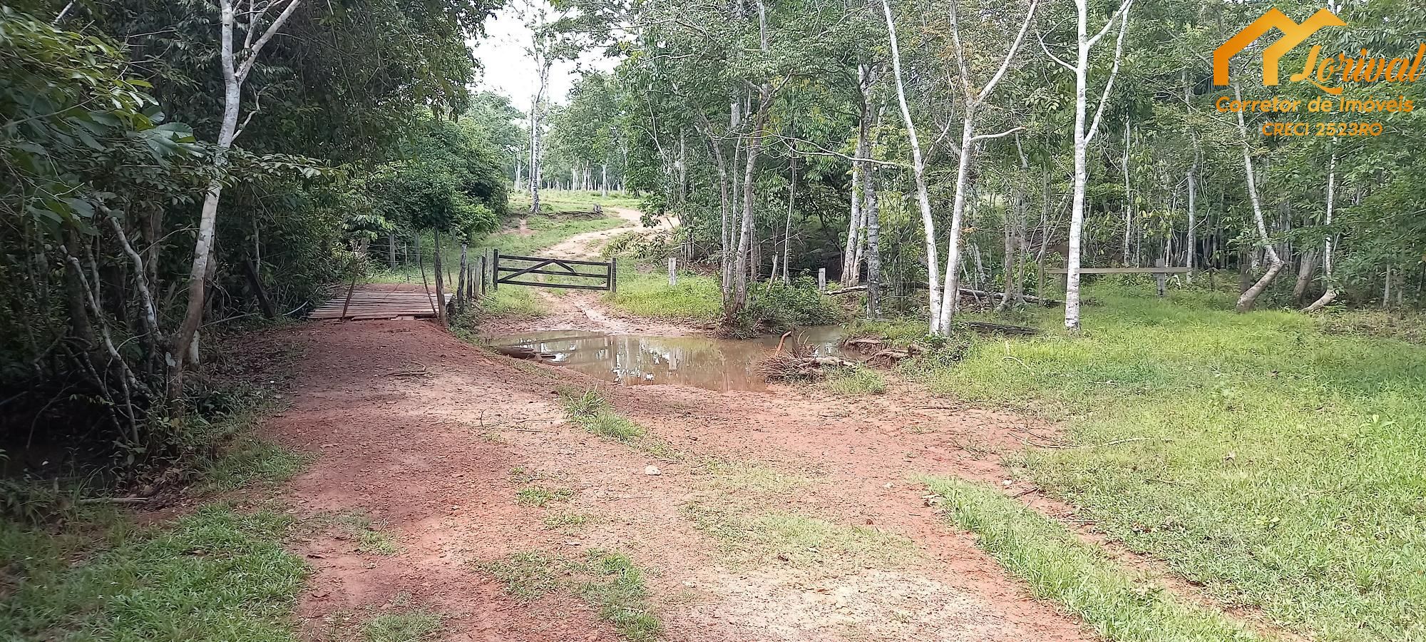 Sítio, 3 quartos, 242000 hectares - Foto 28