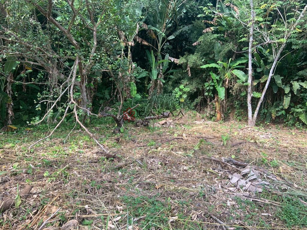 Terreno à venda, 1082m² - Foto 4