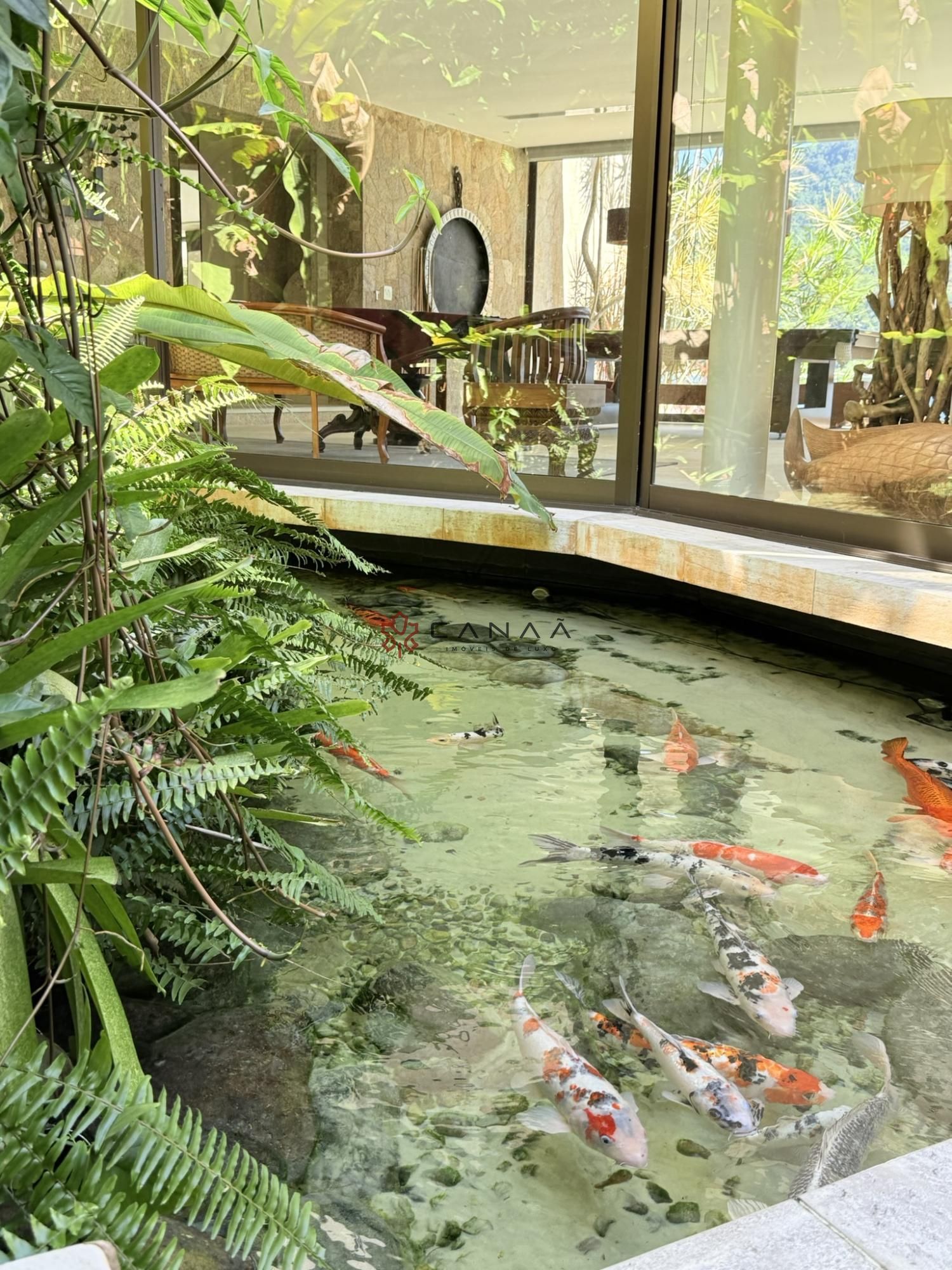 Casa, 5 quartos, 800 m² - Foto 36