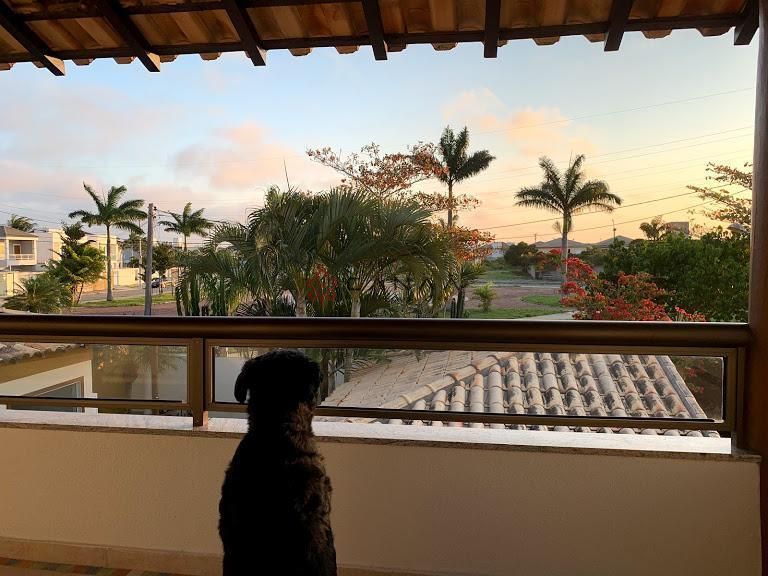 Casa à venda com 3 quartos, 300m² - Foto 22