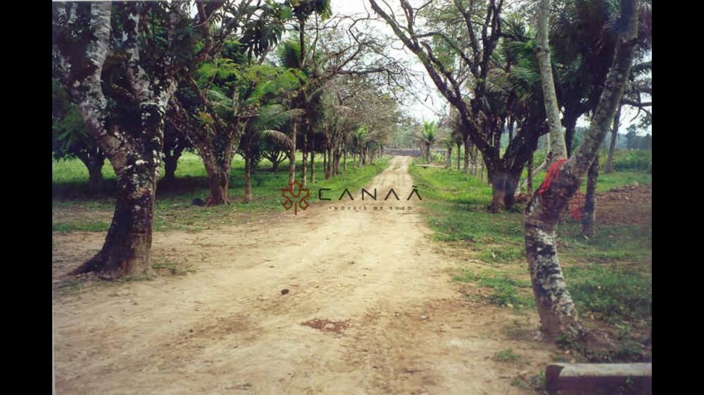 Fazenda à venda com 2 quartos, 200m² - Foto 1