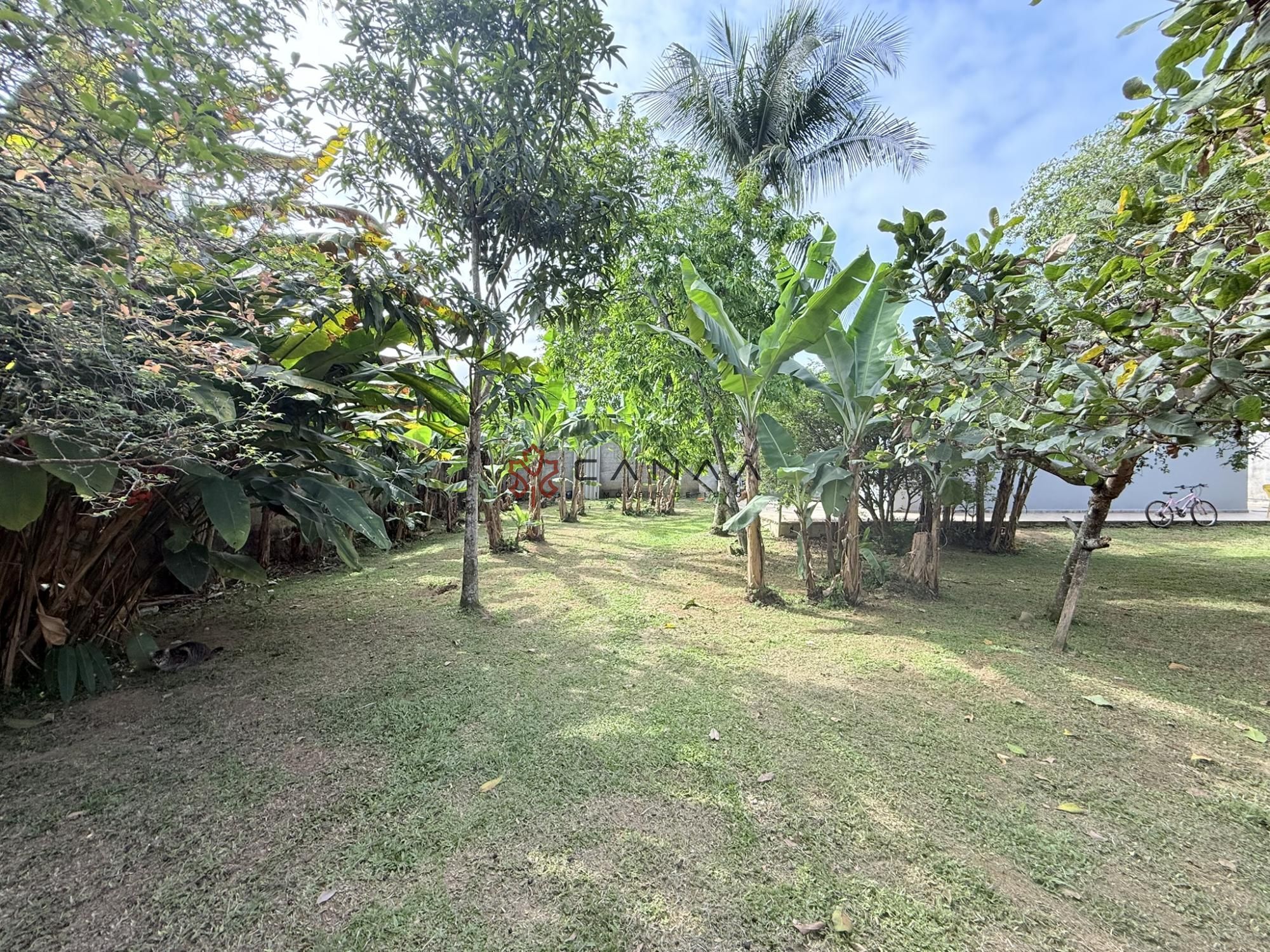 Casa à venda com 5 quartos, 345m² - Foto 8
