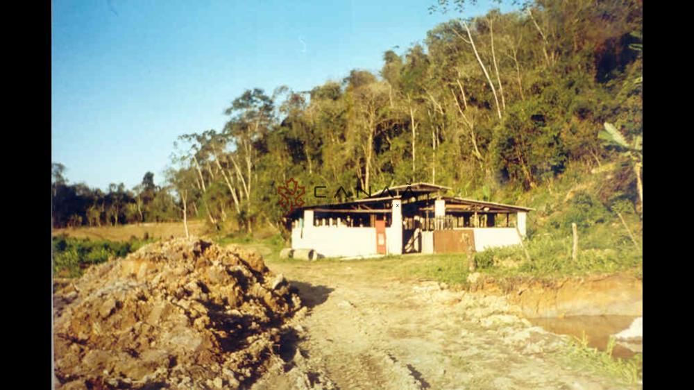 Fazenda à venda com 2 quartos, 200m² - Foto 8