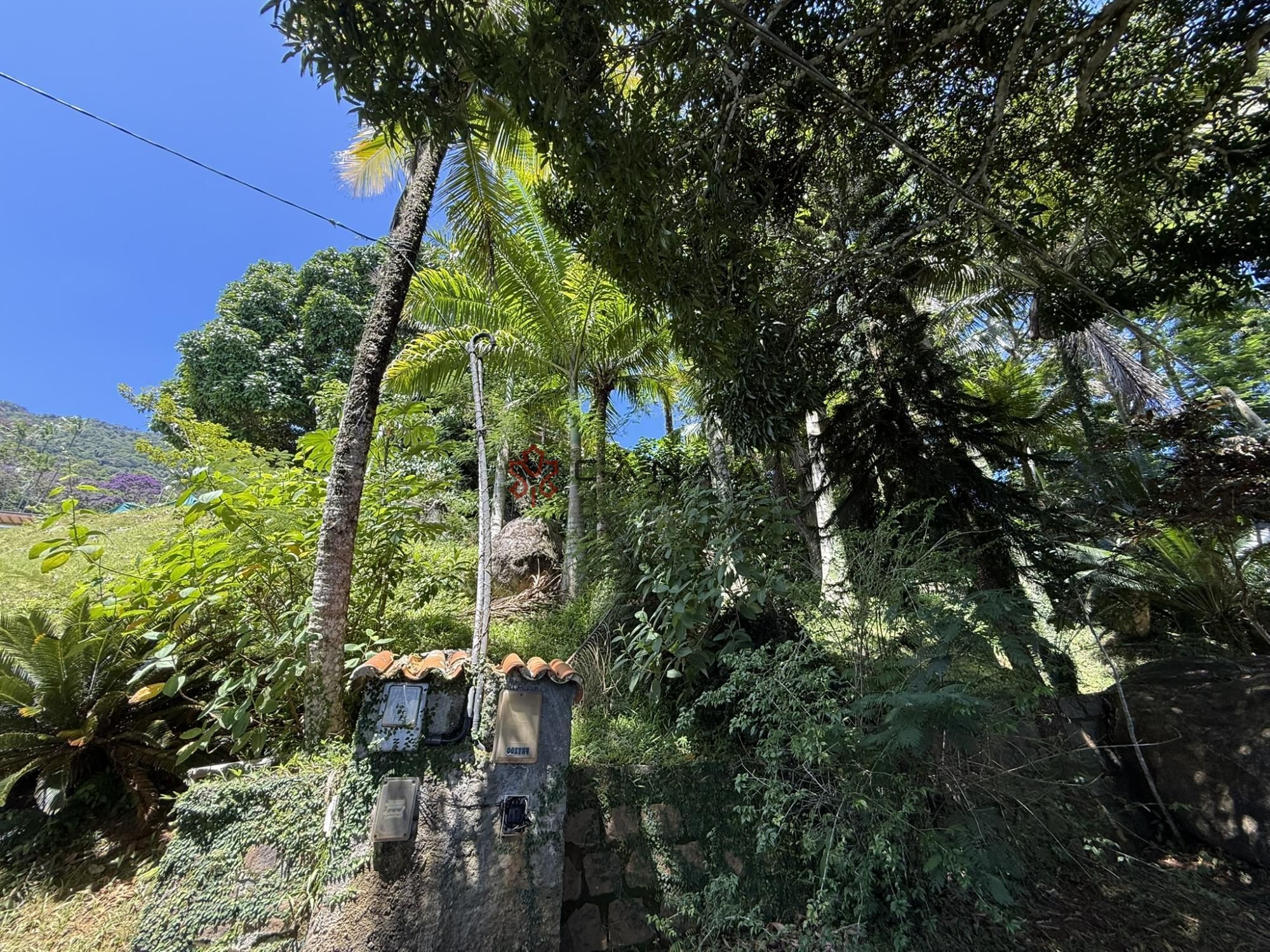 Casa, 6 quartos, 400 m² - Foto 44