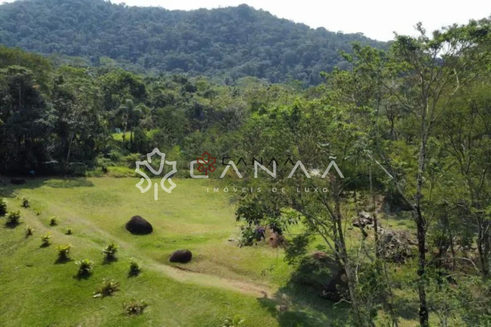 Terreno, 2312 m² - Foto 6
