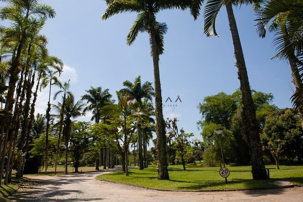 Apartamento à venda com 2 quartos, 60m² - Foto 39