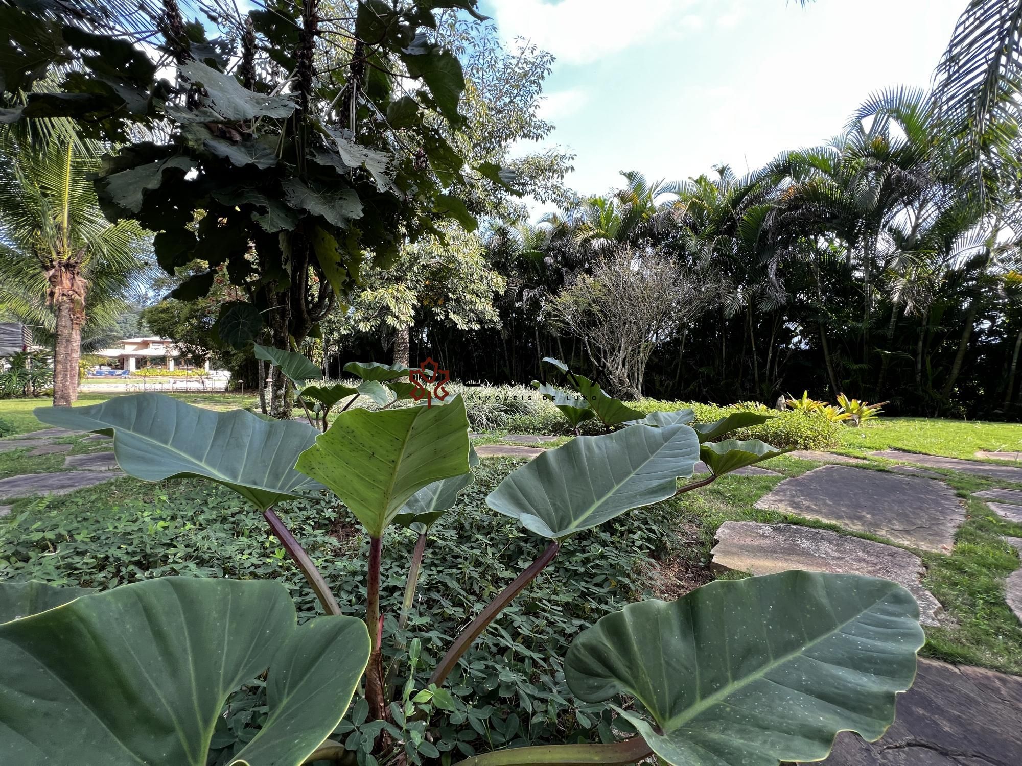 Casa de Condomínio à venda com 5 quartos, 500m² - Foto 5