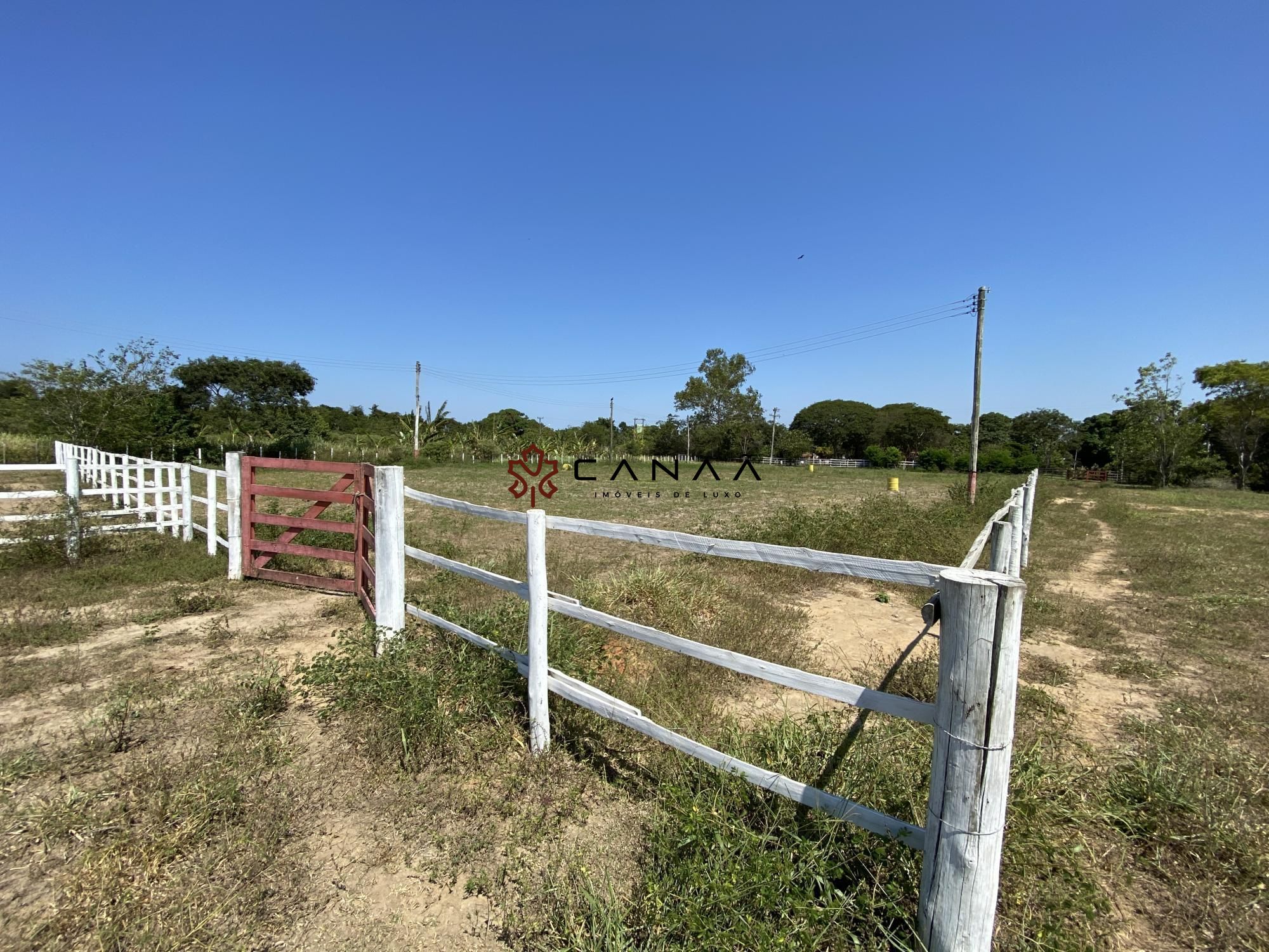 Fazenda à venda com 4 quartos, 200m² - Foto 20