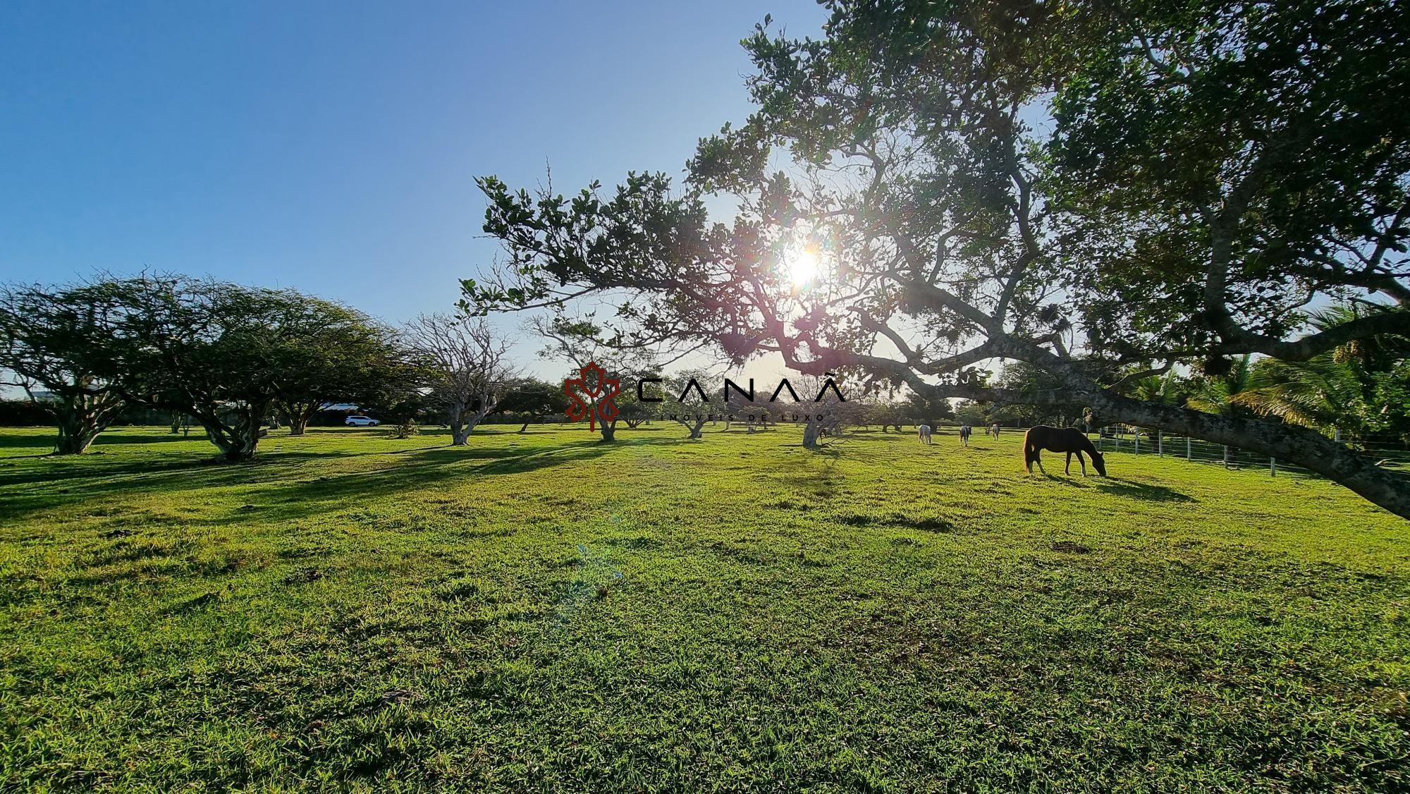 Fazenda à venda com 2 quartos, 130000m² - Foto 6