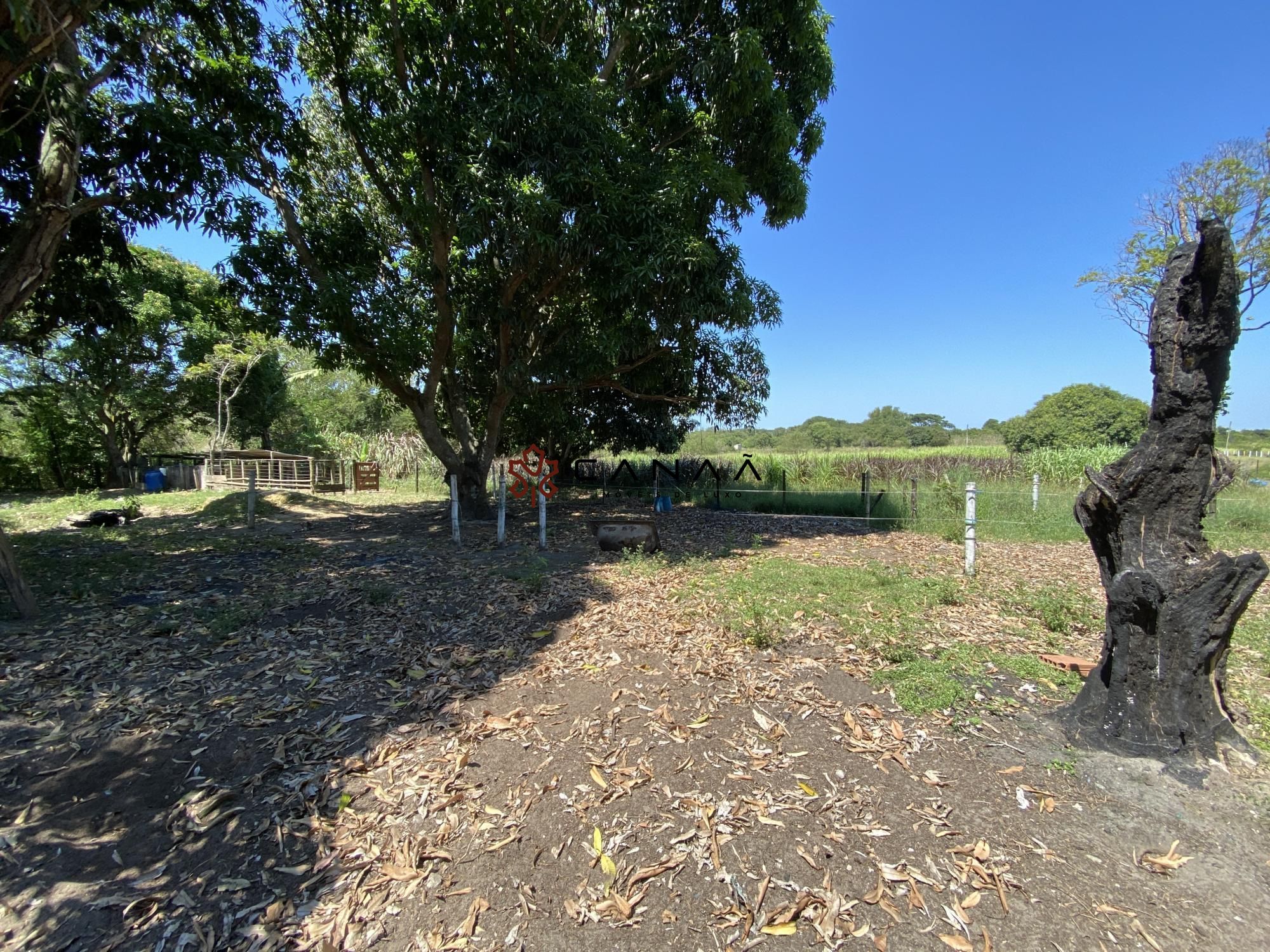 Fazenda à venda com 4 quartos, 200m² - Foto 22