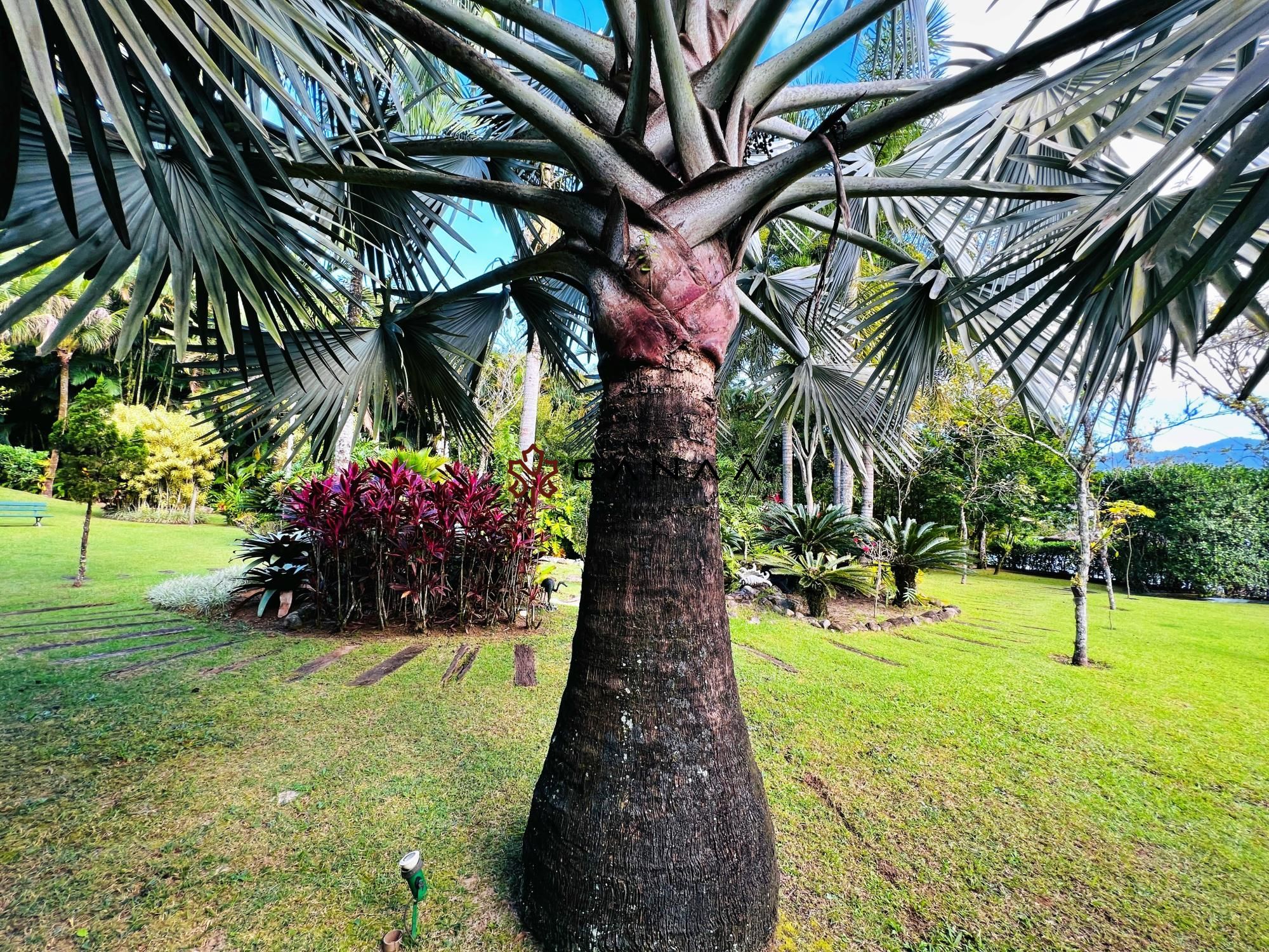 Casa de Condomínio à venda e temporada com 5 quartos, 1000m² - Foto 56