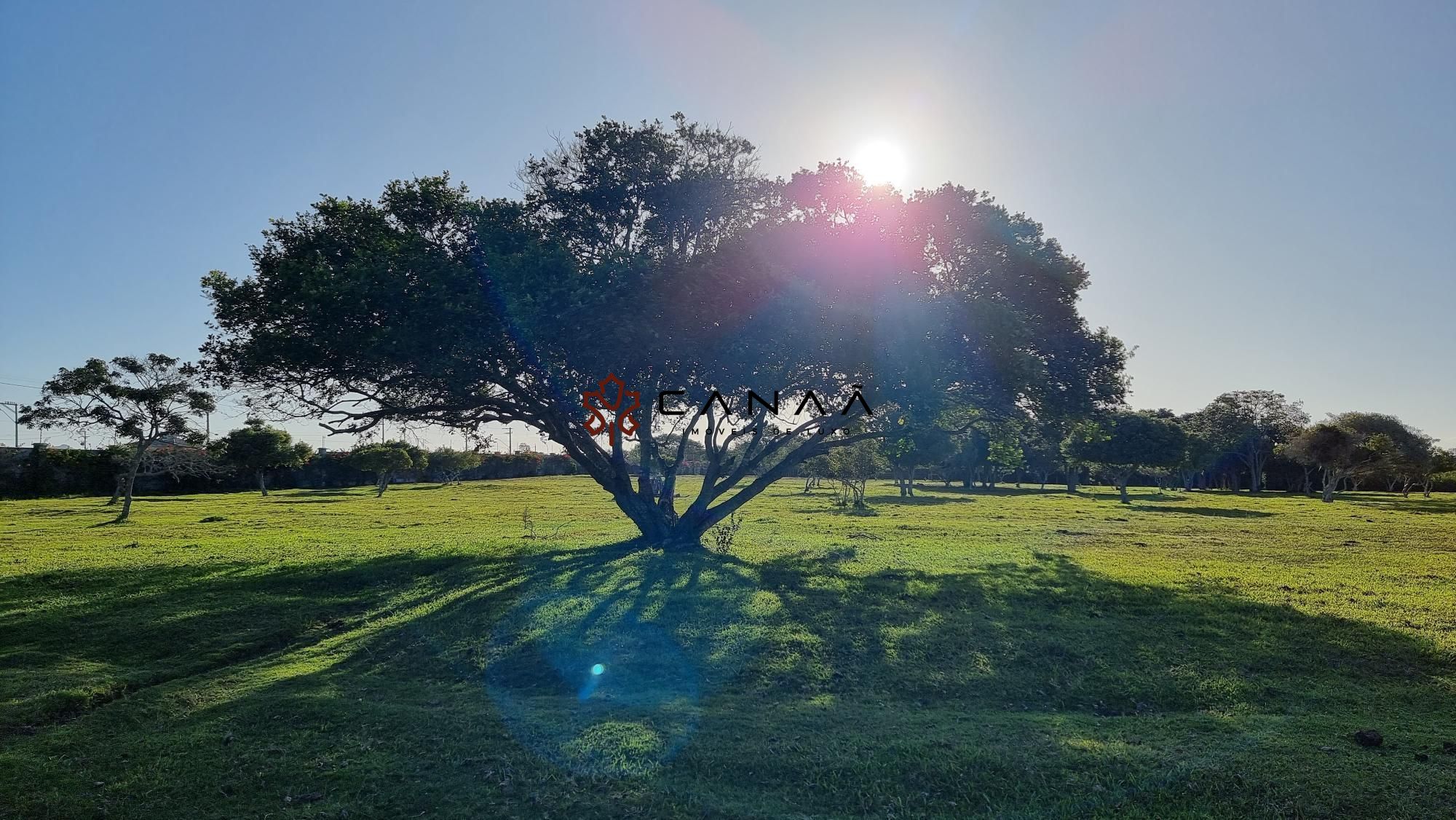 Fazenda à venda com 2 quartos, 130000m² - Foto 9