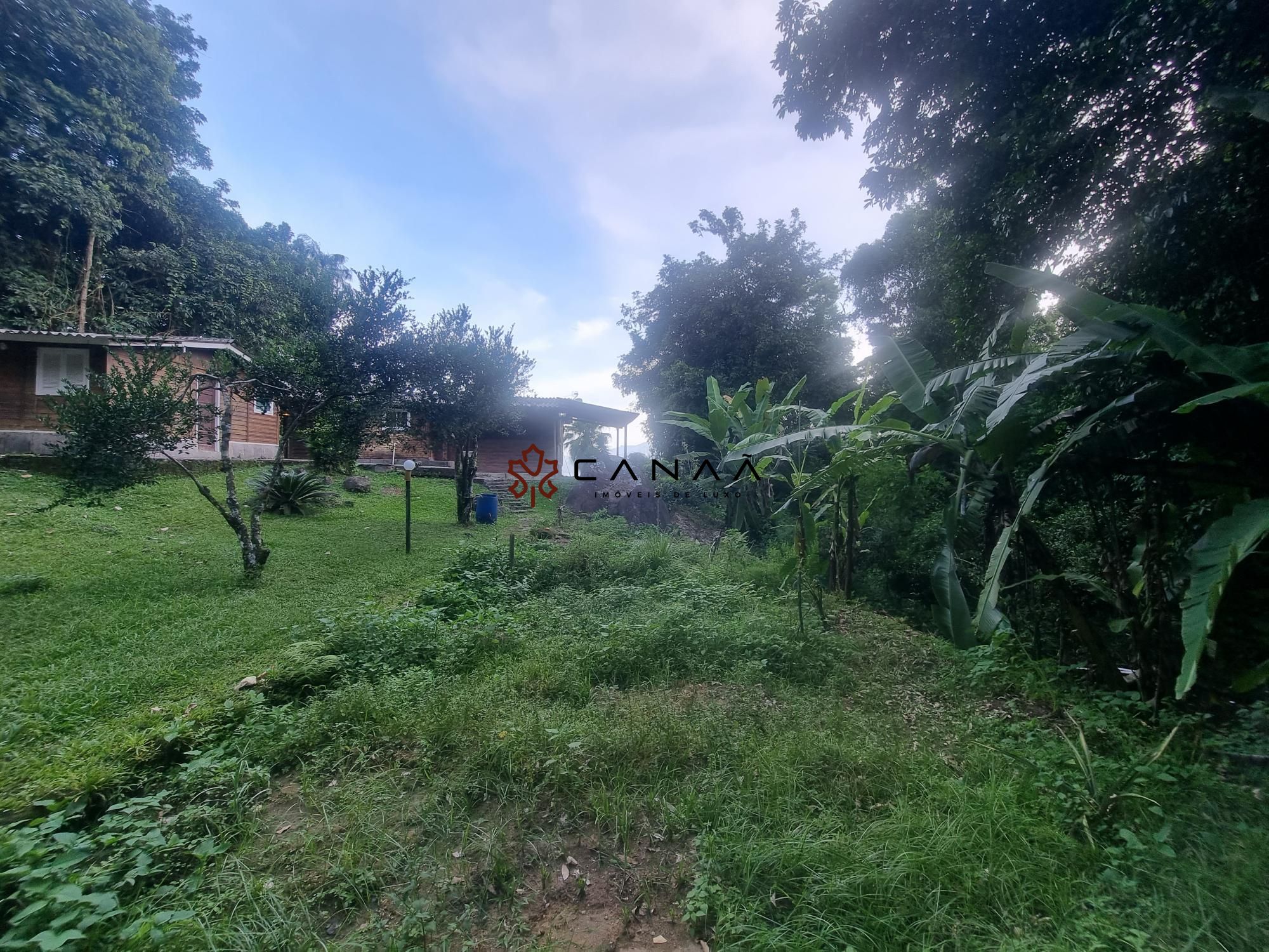 Fazenda à venda com 4 quartos, 5000m² - Foto 7