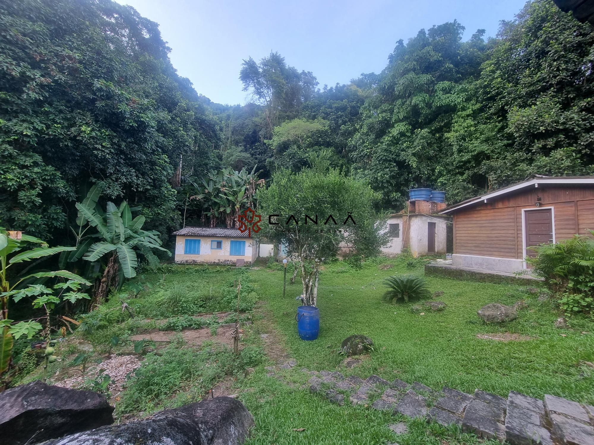 Fazenda à venda com 4 quartos, 5000m² - Foto 6