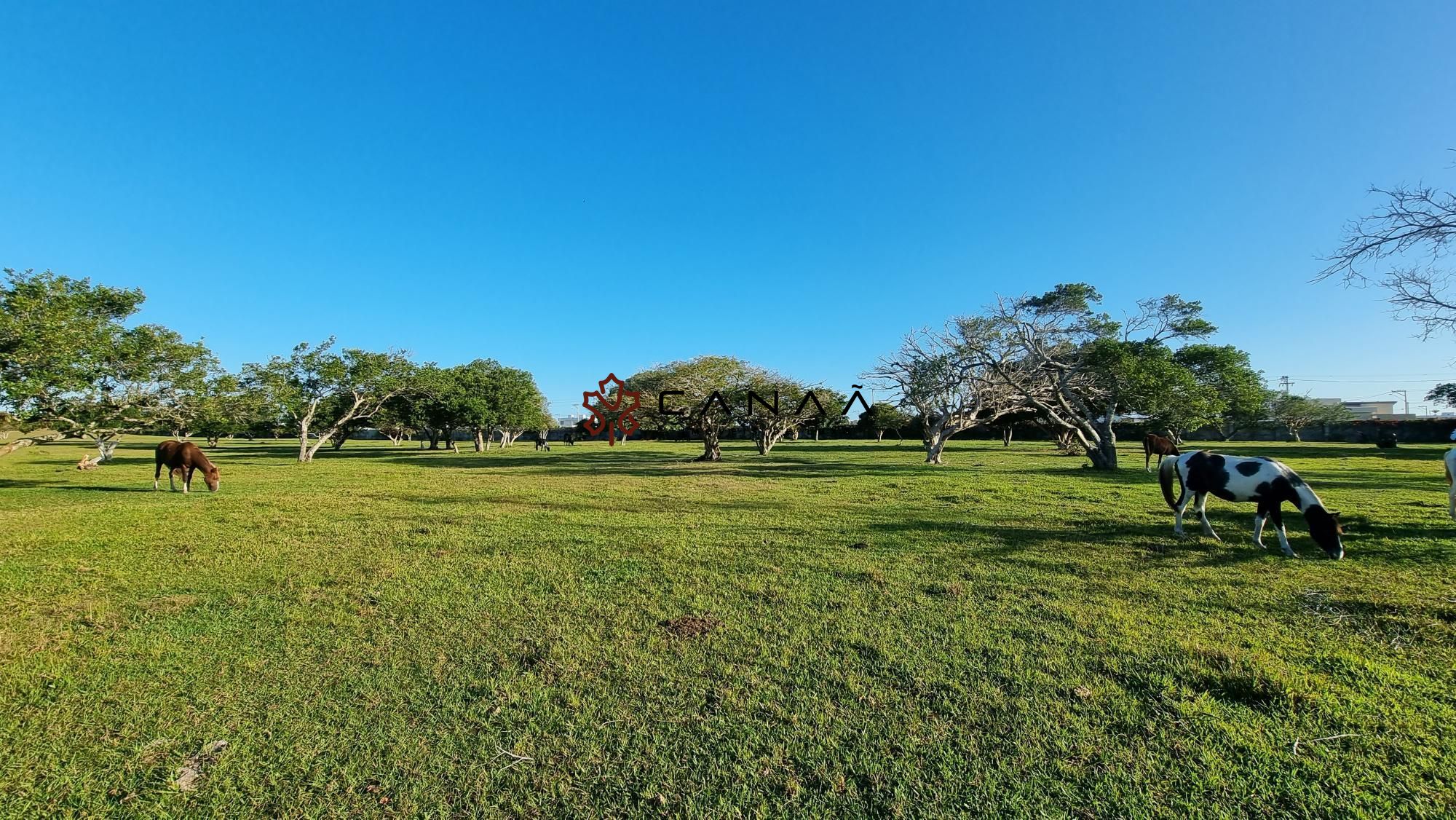 Fazenda à venda com 2 quartos, 130000m² - Foto 5