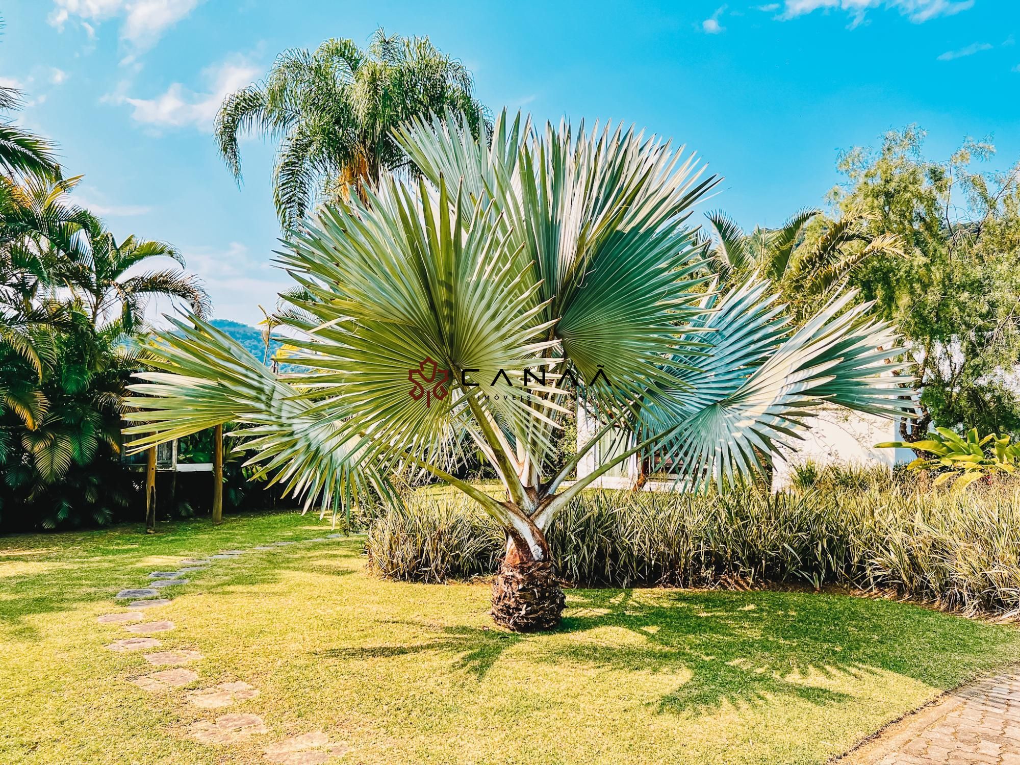 Casa de Condomínio à venda e temporada com 7 quartos, 1200m² - Foto 29