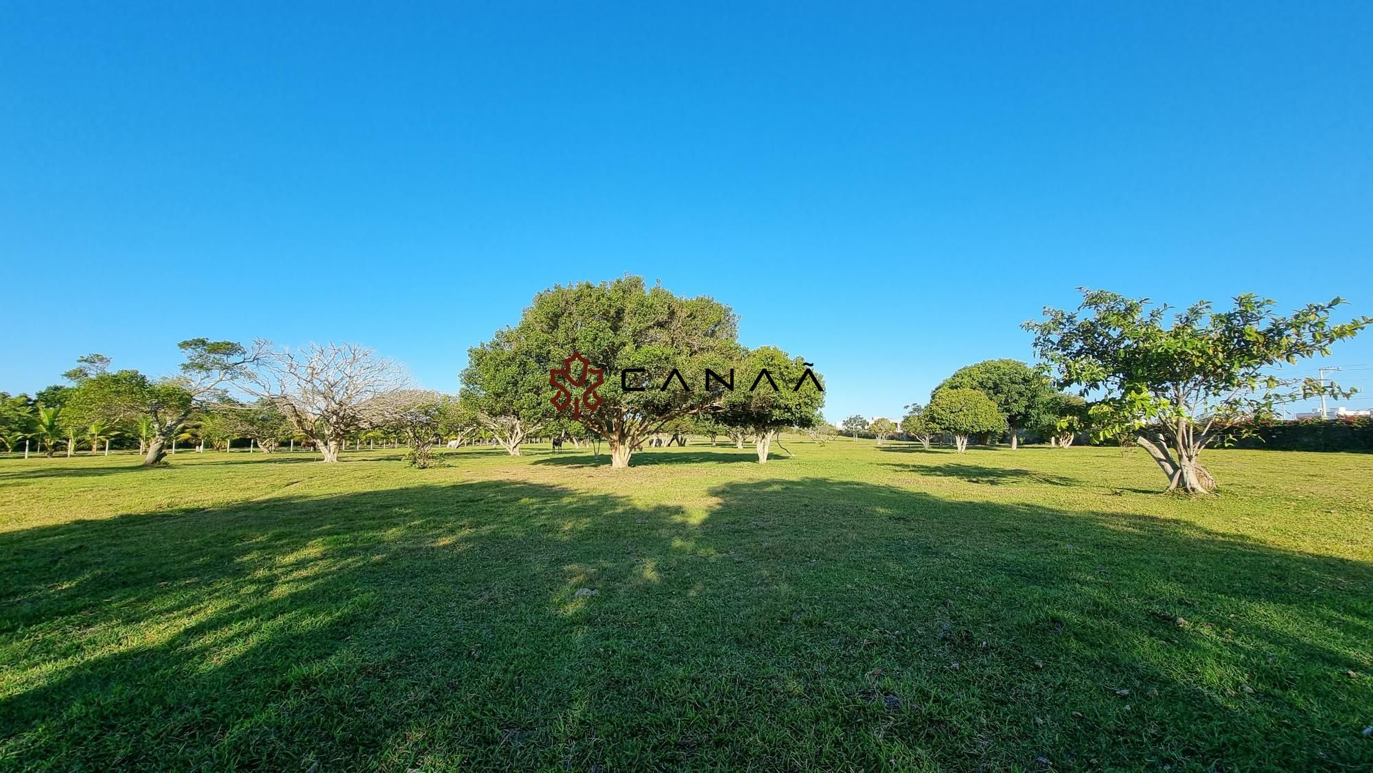 Fazenda à venda com 2 quartos, 130000m² - Foto 3