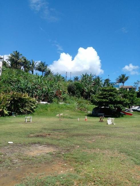 Terreno à venda, 5000m² - Foto 3