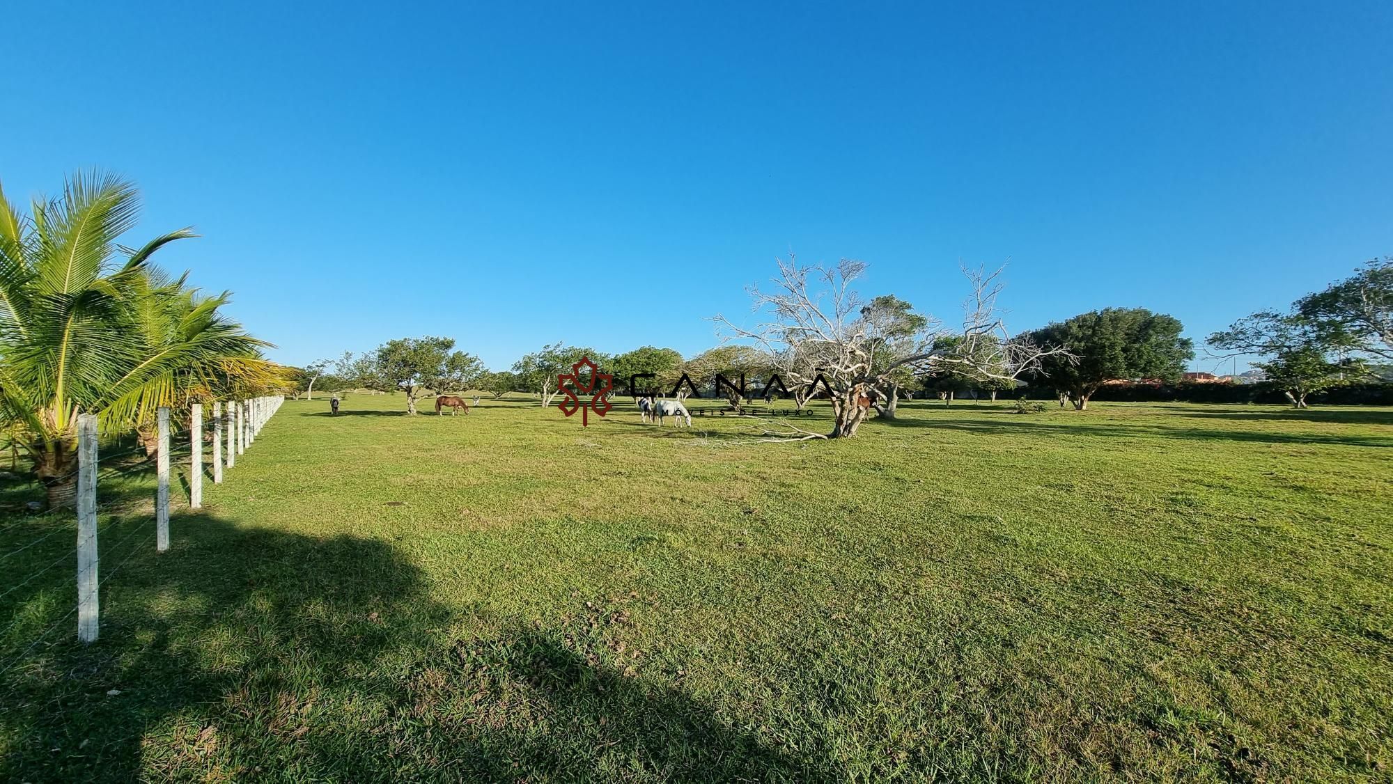 Fazenda à venda com 2 quartos, 130000m² - Foto 7