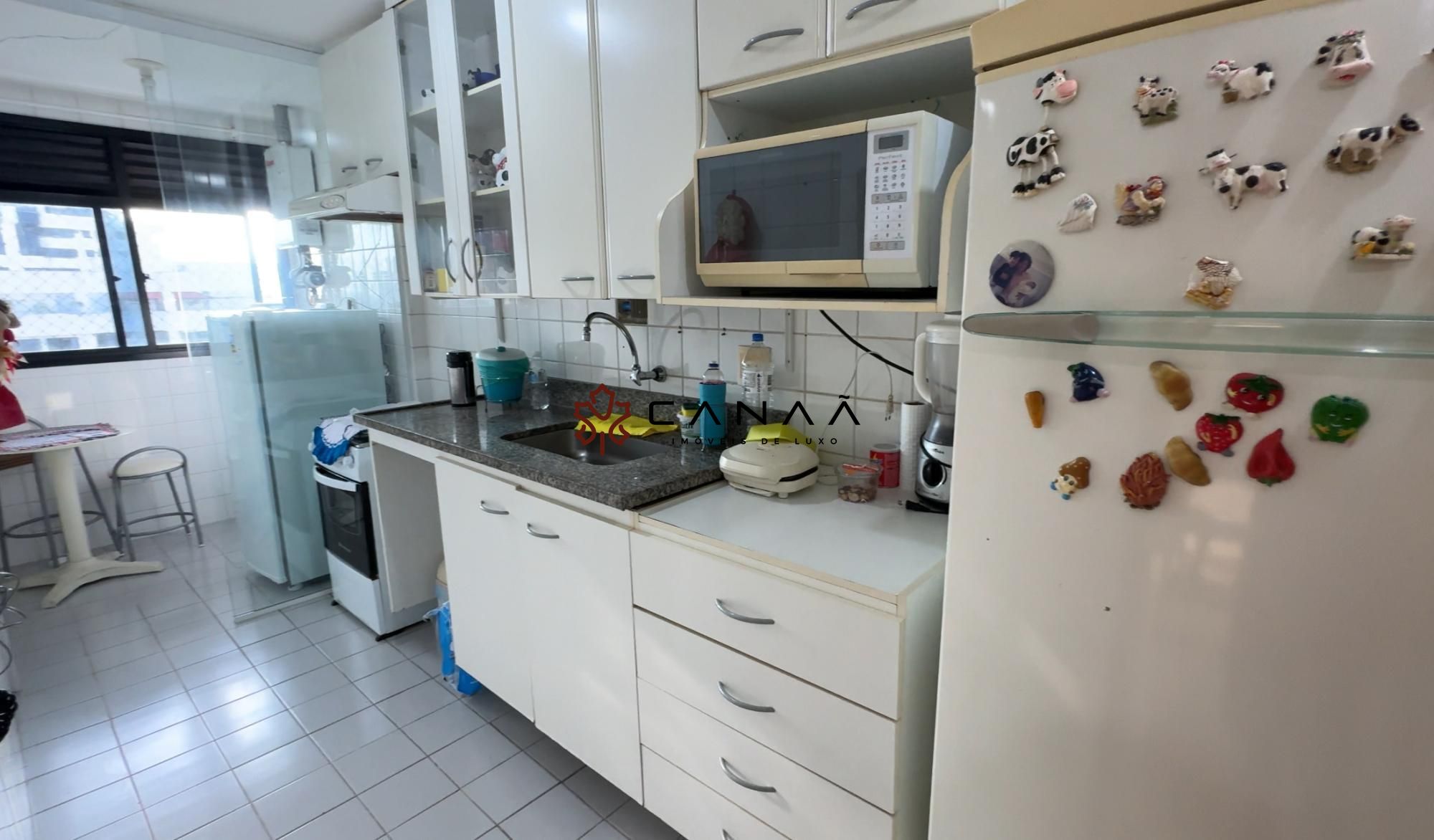 Apartamento à venda com 3 quartos, 120m² - Foto 15