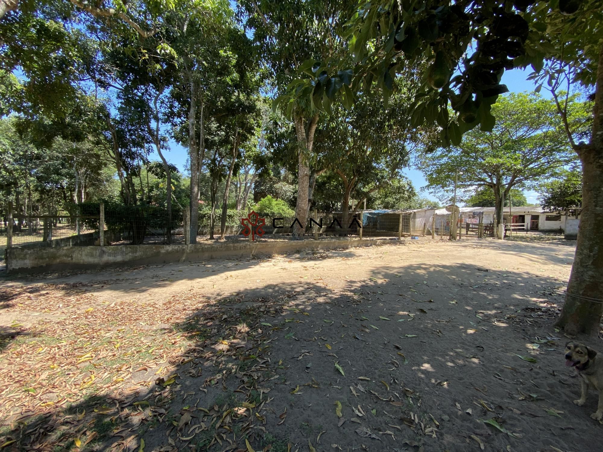 Fazenda à venda com 4 quartos, 200m² - Foto 23