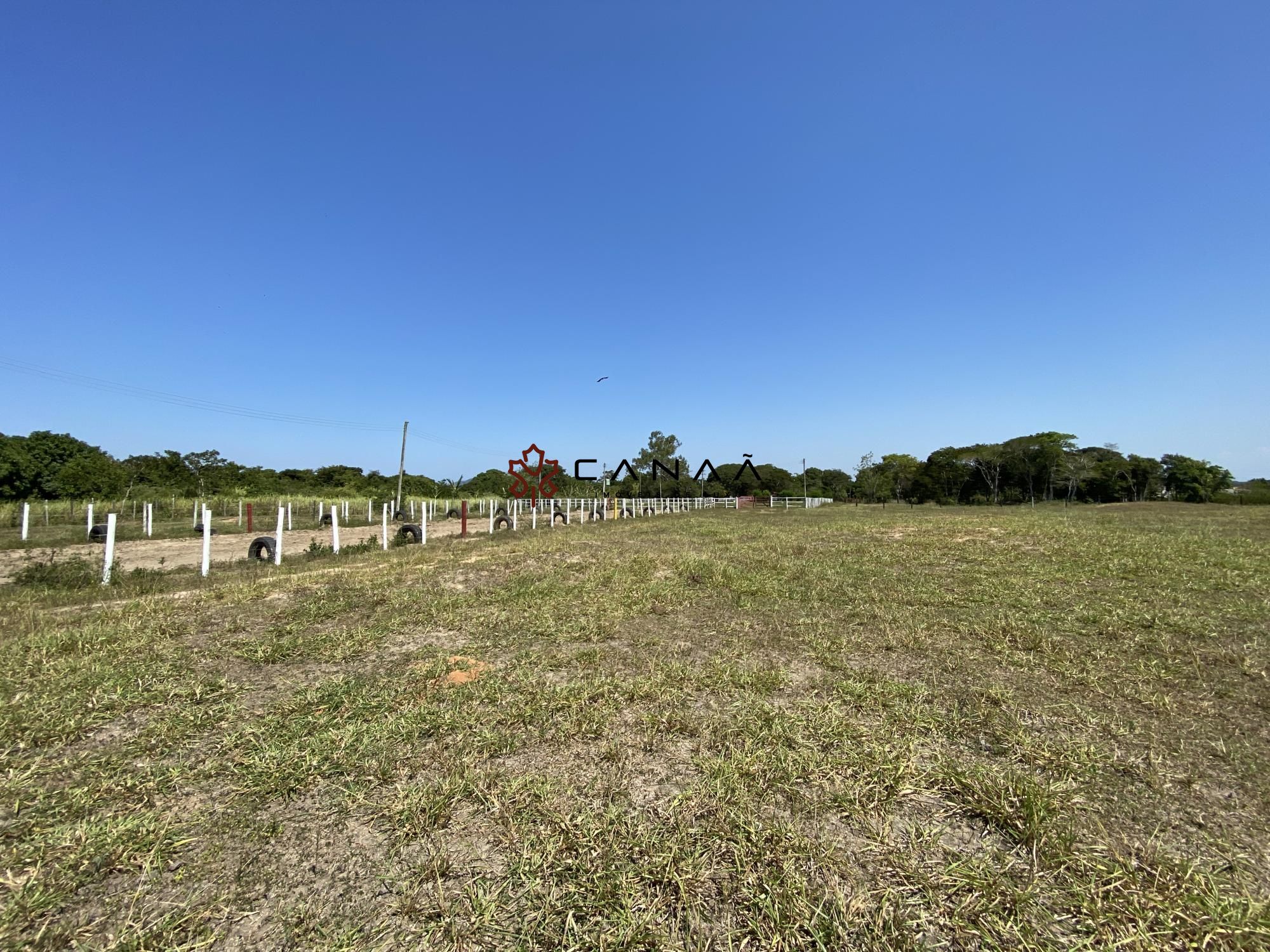 Fazenda à venda com 4 quartos, 200m² - Foto 18