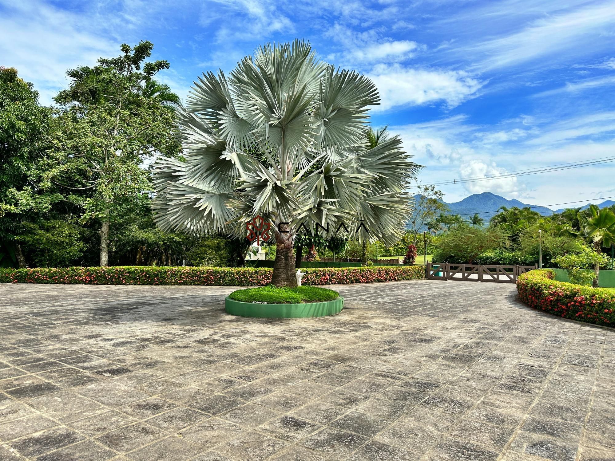 Casa de Condomínio à venda com 12 quartos, 2000m² - Foto 61