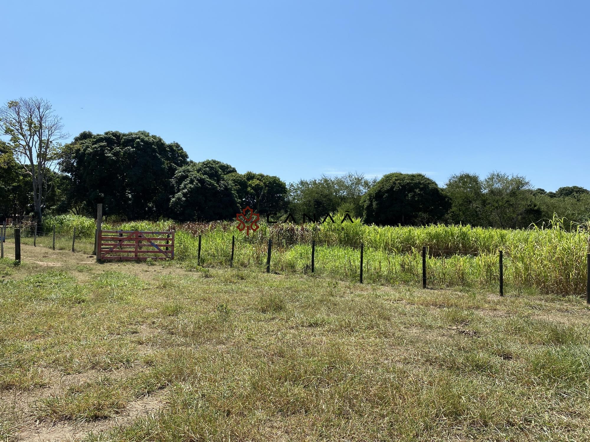 Fazenda à venda com 4 quartos, 200m² - Foto 21