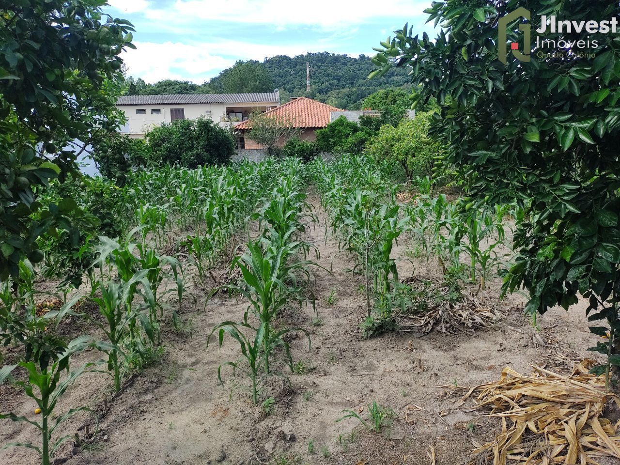 Terreno à venda, 466m² - Foto 1