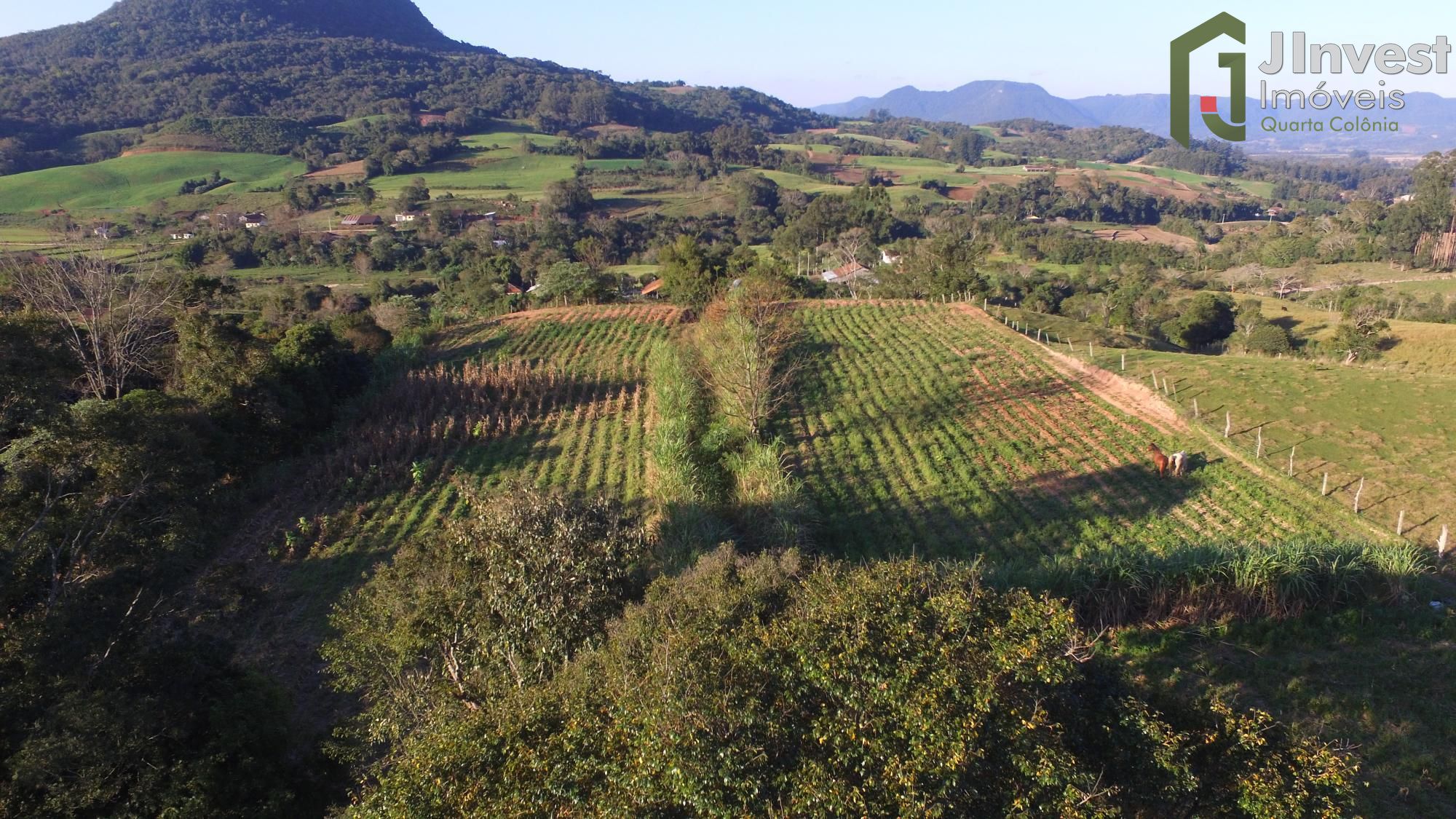 Sítio à venda com 1 quarto, 20000m² - Foto 2