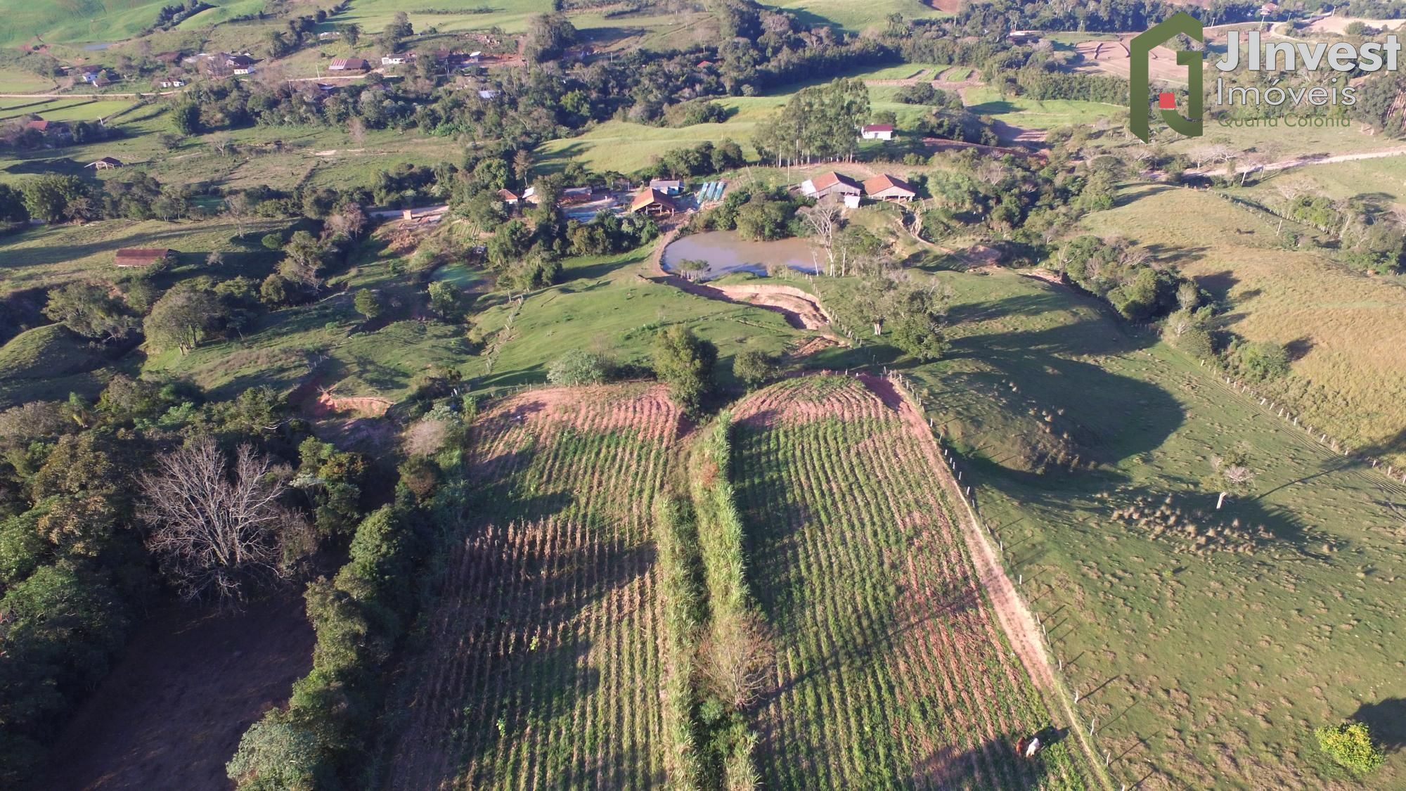 Sítio à venda com 1 quarto, 20000m² - Foto 3
