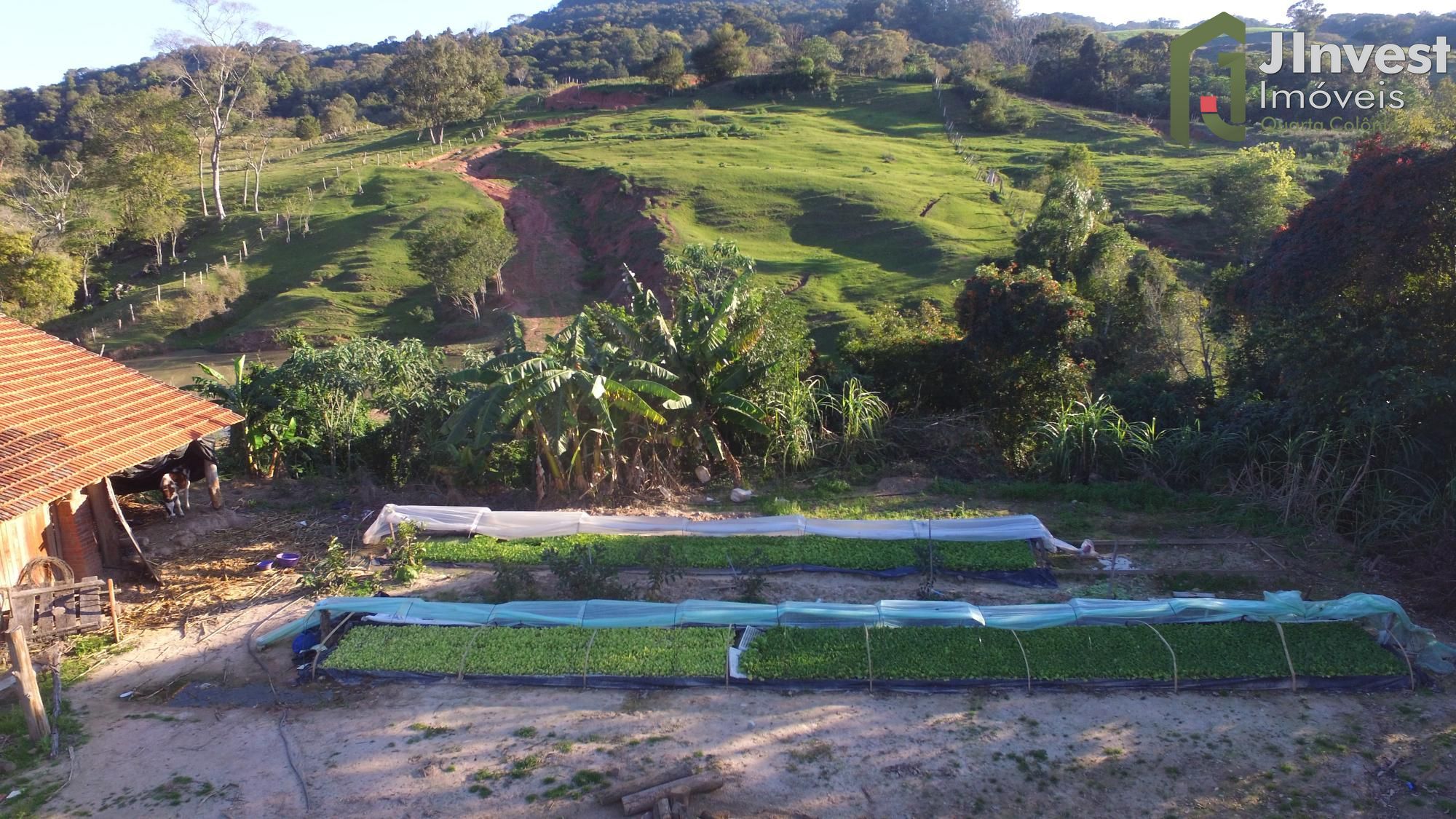 Fazenda à venda com 1 quarto, 20000m² - Foto 7