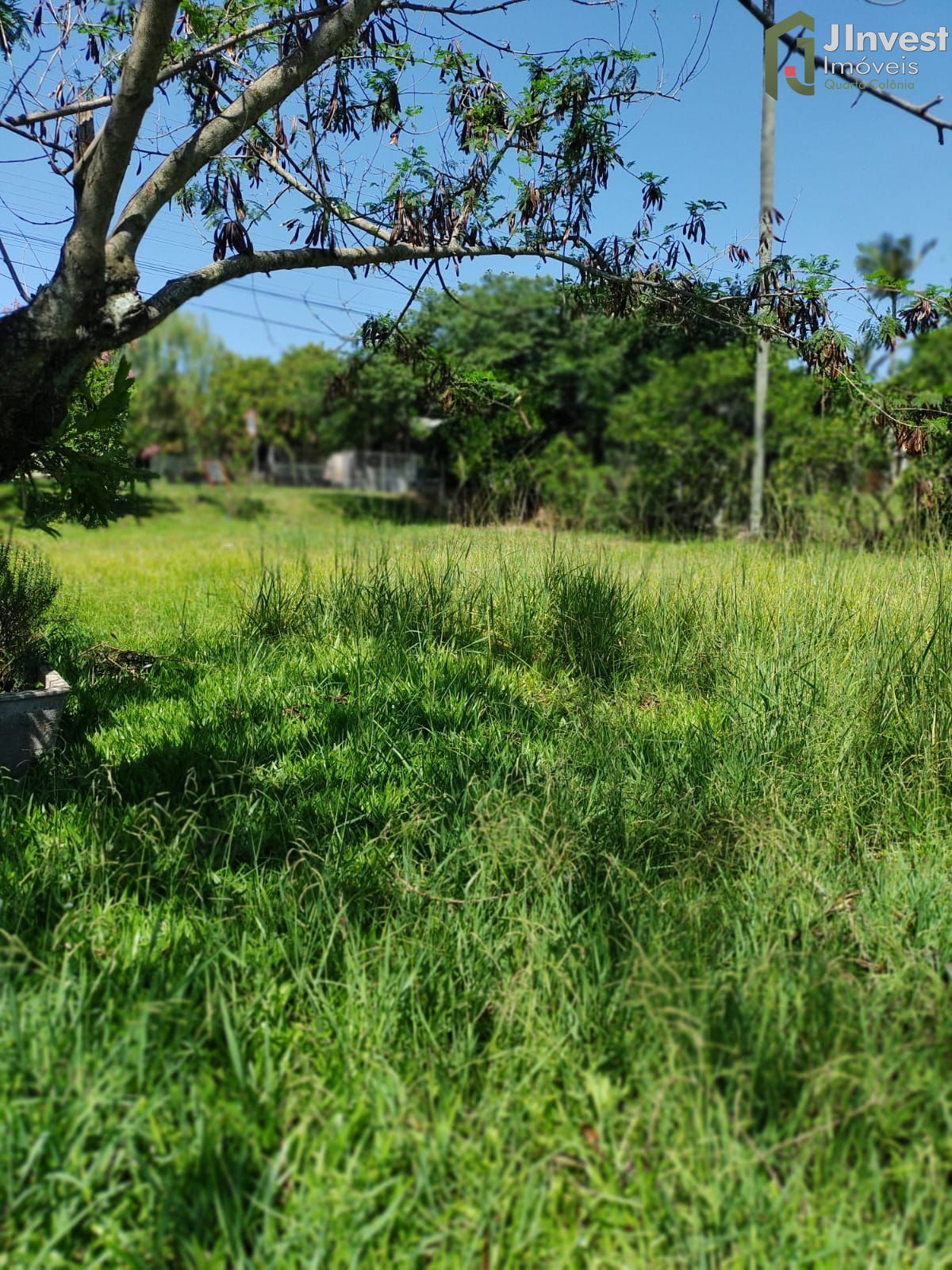 Terreno, 544 m² - Foto 3