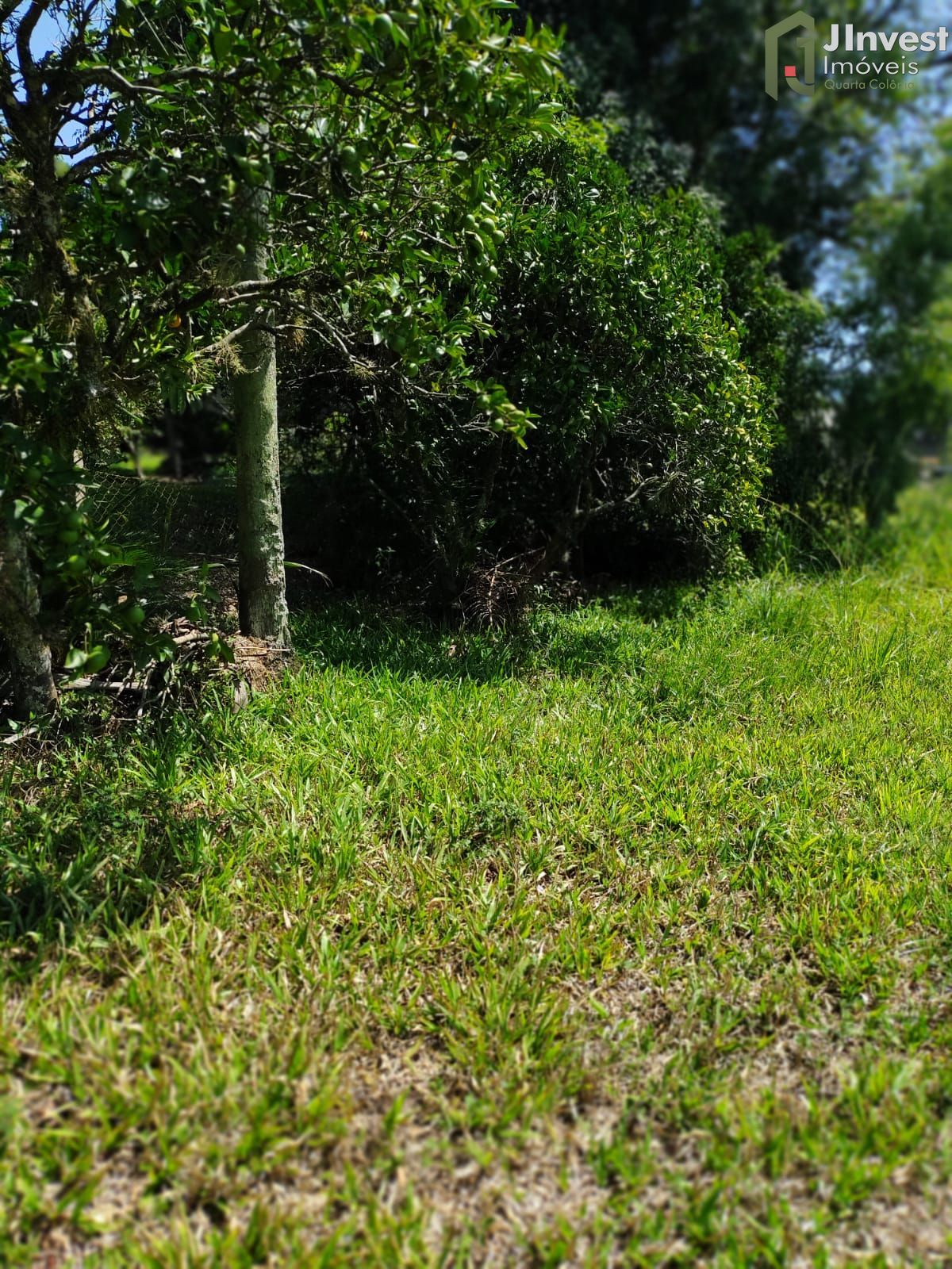 Terreno, 544 m² - Foto 12