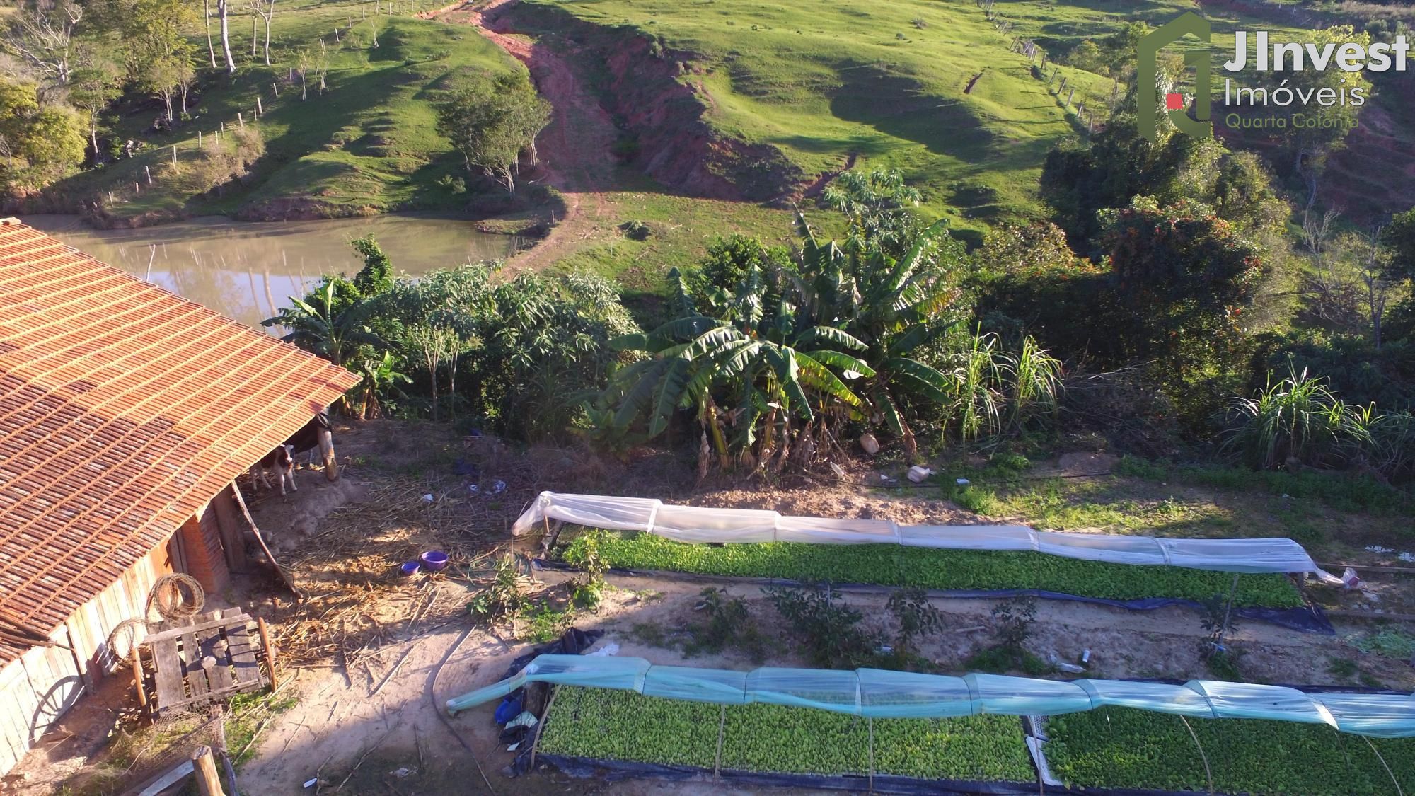 Fazenda à venda com 1 quarto, 20000m² - Foto 6