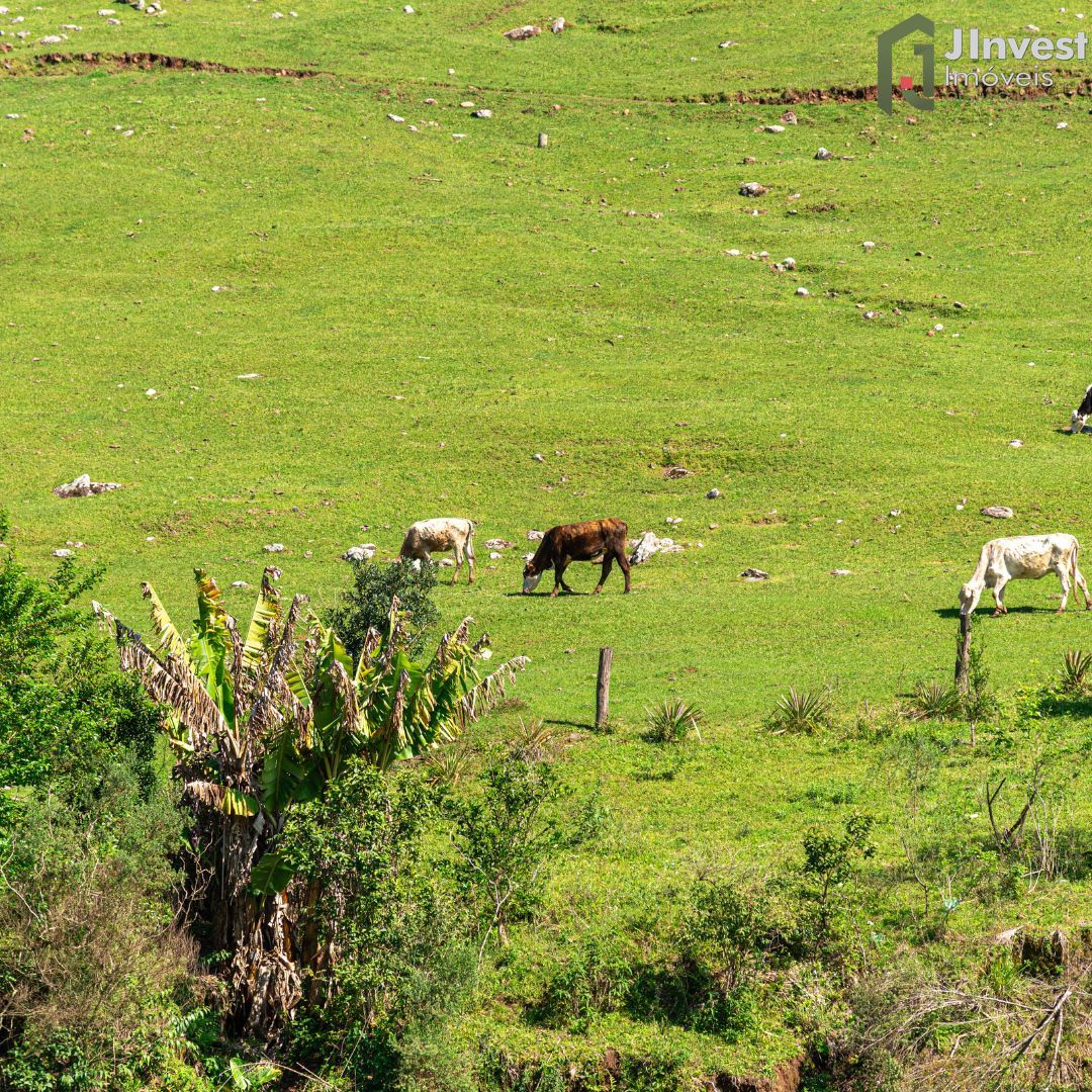 Fazenda à venda com 3 quartos, 150000m² - Foto 1