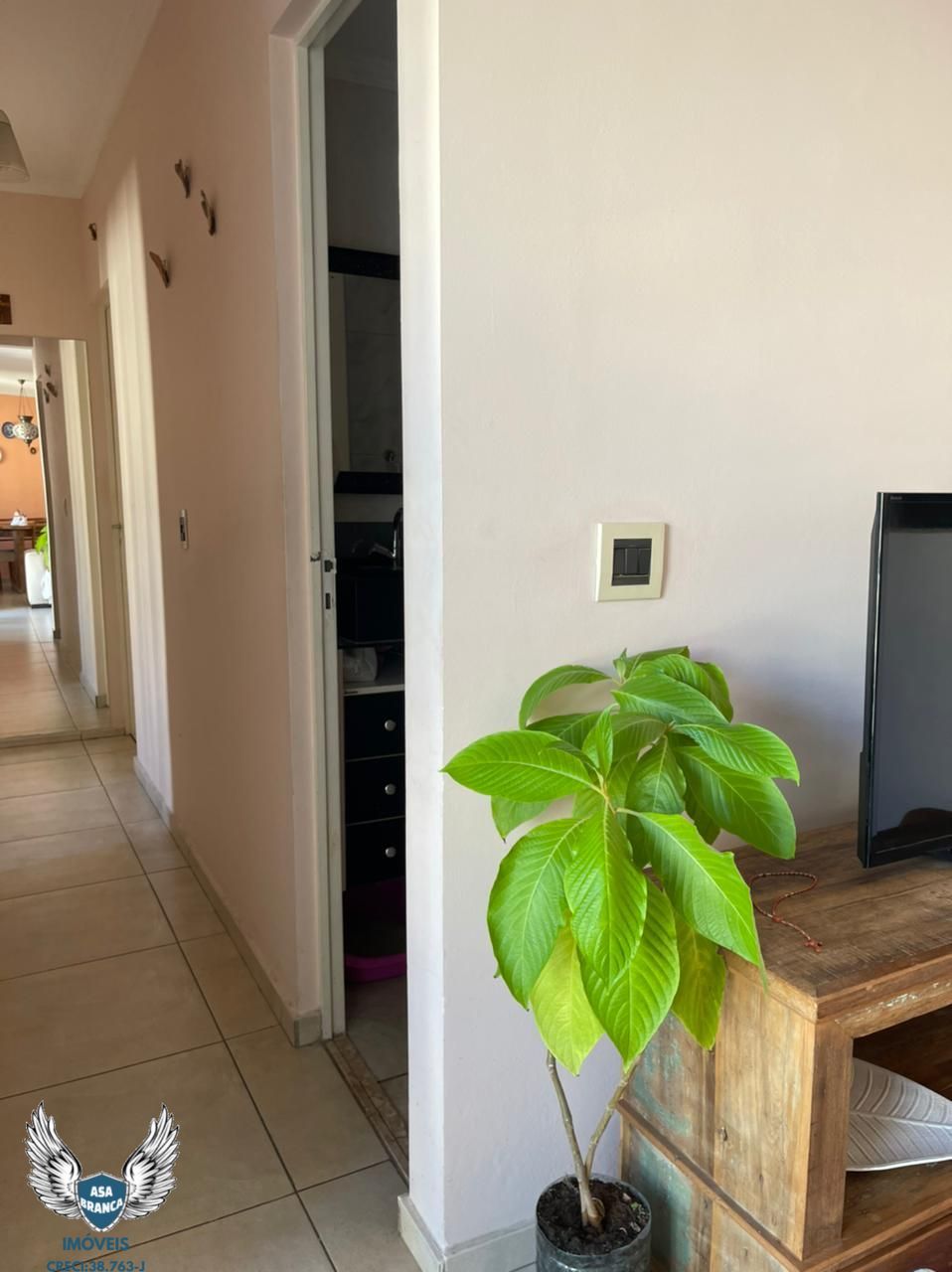 Apartamento à venda com 3 quartos, 83m² - Foto 14