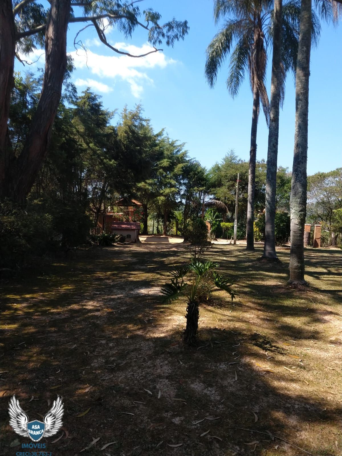 Fazenda à venda com 3 quartos, 7520m² - Foto 15