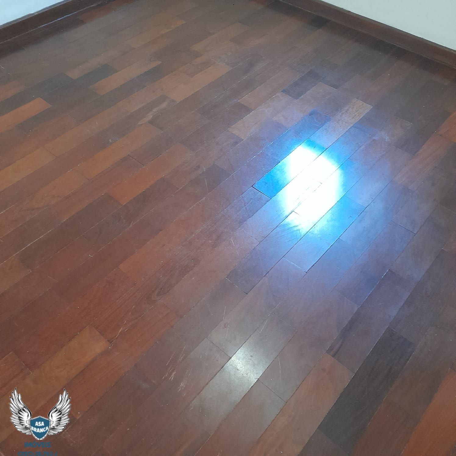 Apartamento à venda com 2 quartos, 47m² - Foto 12