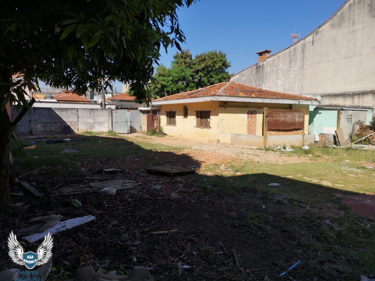 Terreno à venda e aluguel, 1500m² - Foto 2