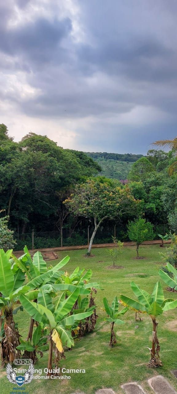 Fazenda à venda com 5 quartos, 5000m² - Foto 29