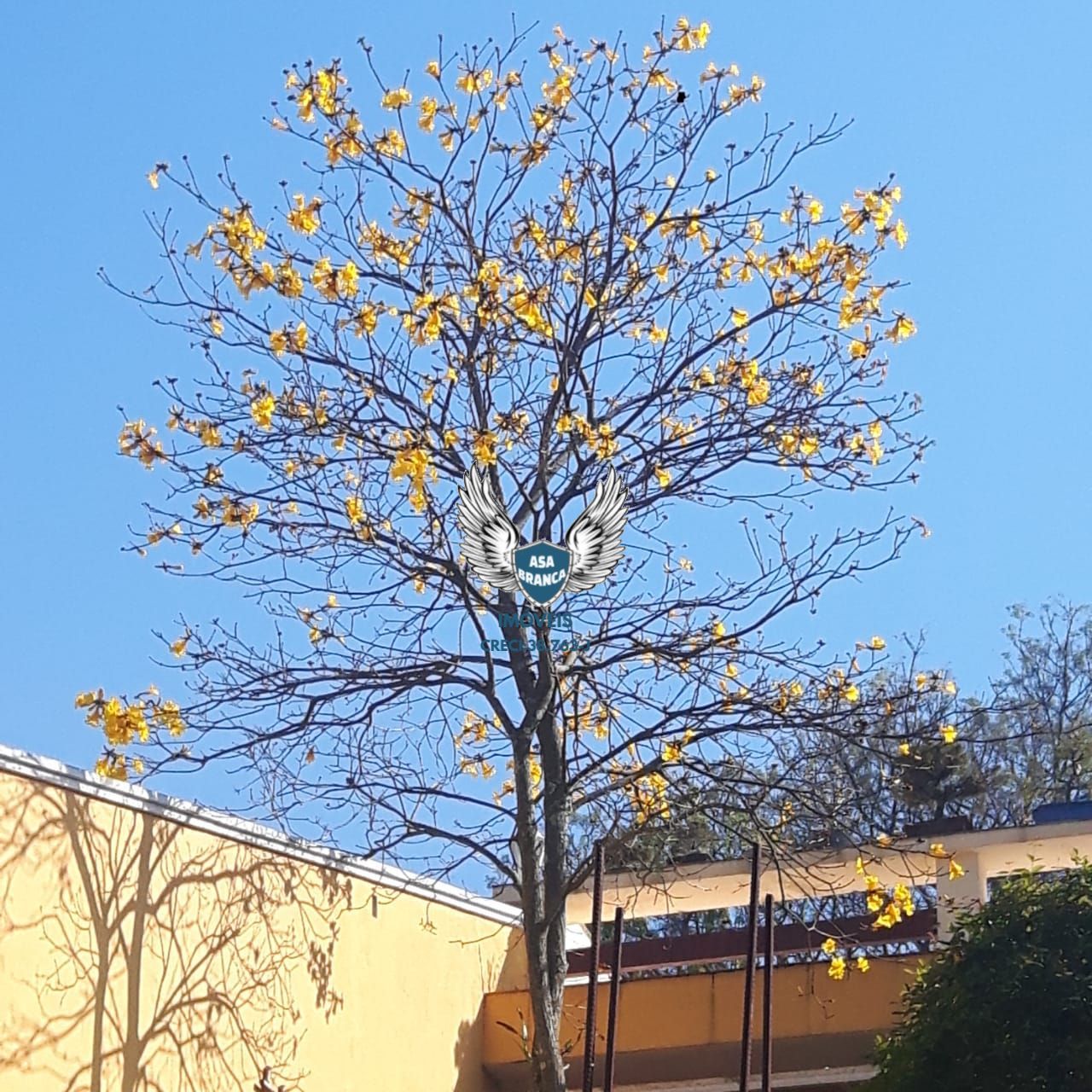 Casa térrea no horto florestal com 02 dormitórios sendo 01 s