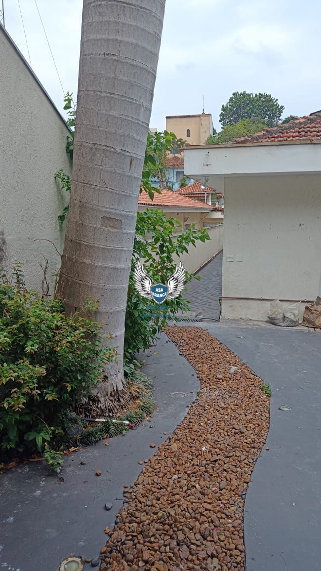 Casa térrea no tucuruvi com 03 dormitórios sendo 01 suíte e 02 vagas de garagem,